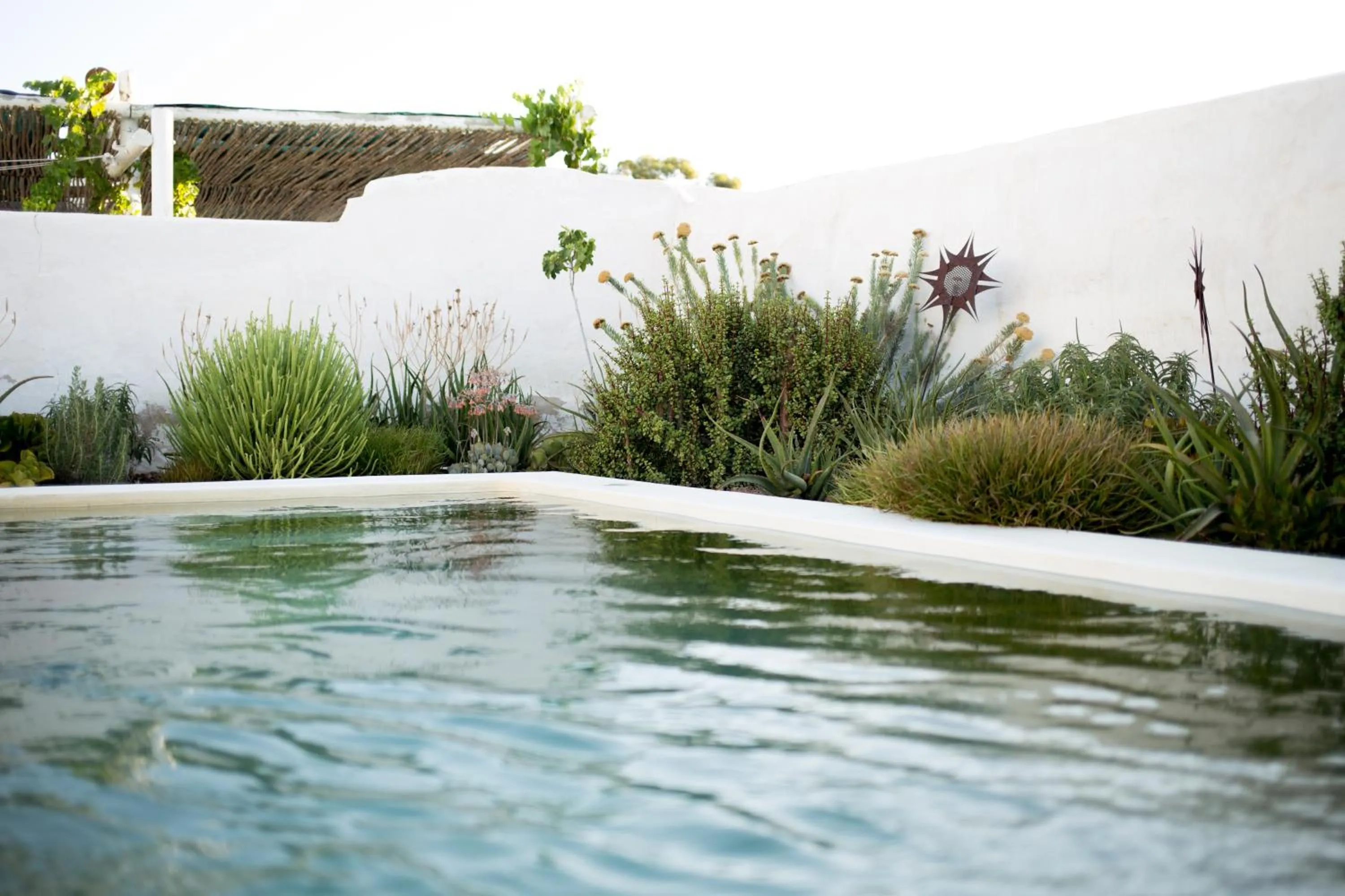 Day in Prince Albert Country Stay