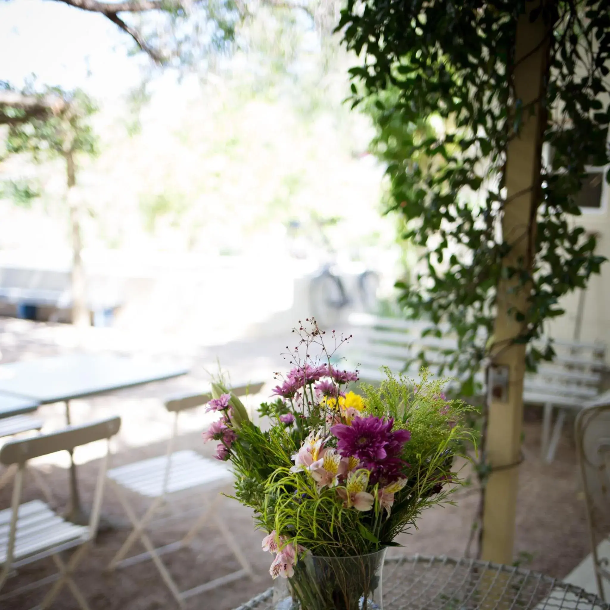 Standard Queen Room - single occupancy in Prince Albert Country Stay Standard Queen Room - single occupancy in Prince Albert Country Stay