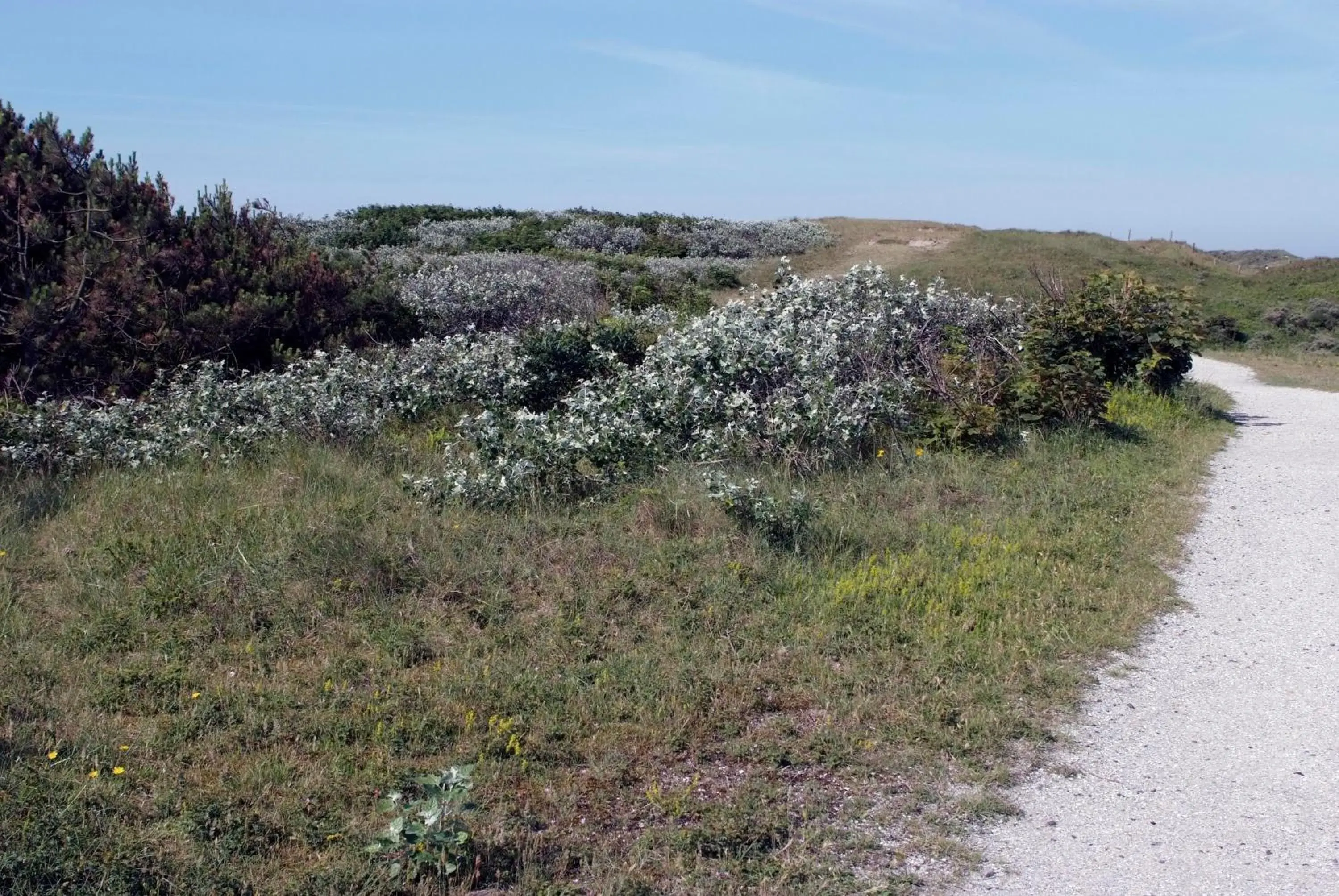 Area and facilities in Fletcher Hotel - Restaurant de Cooghen Area and facilities in Fletcher Hotel - Restaurant de Cooghen