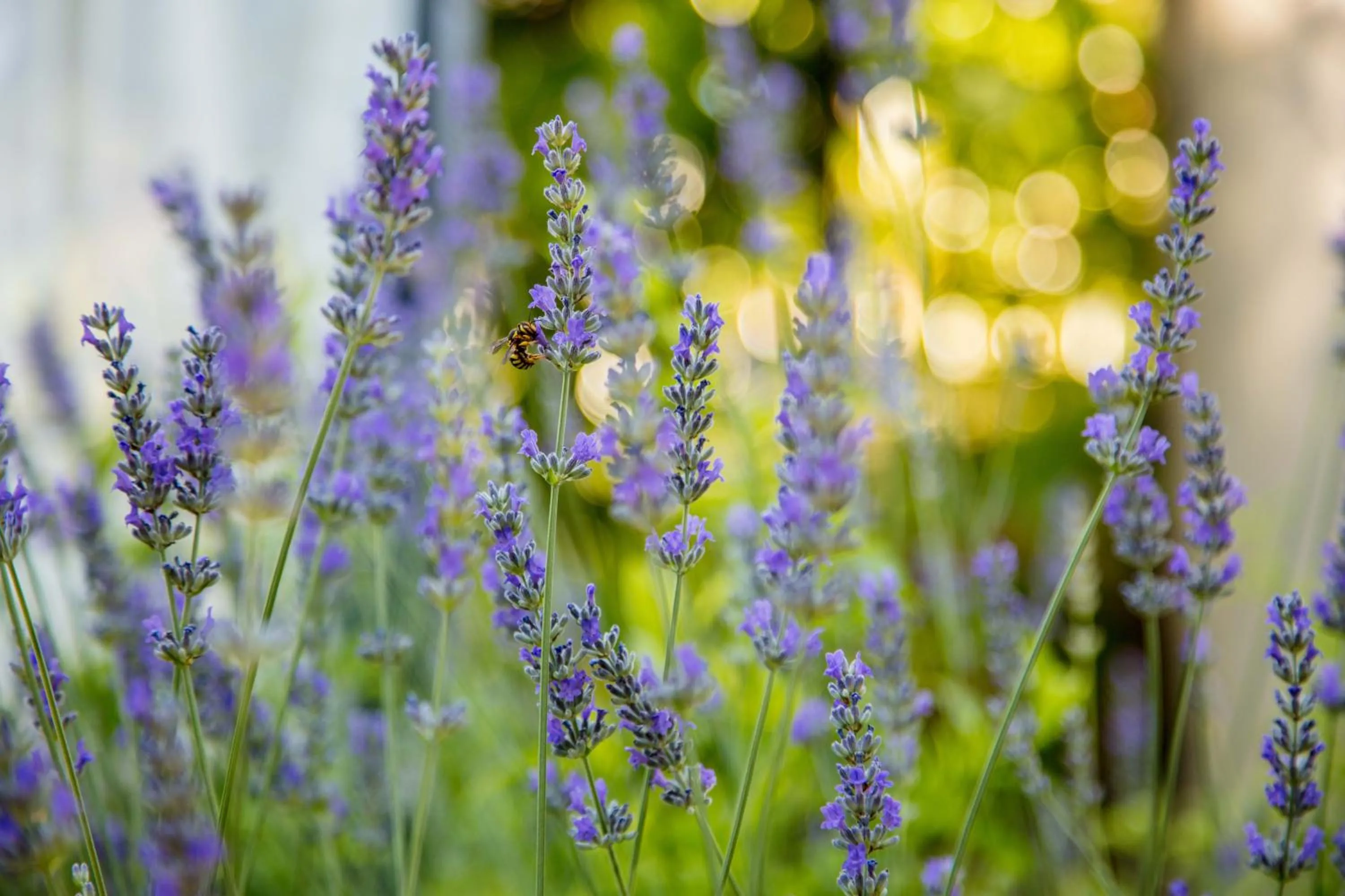 On site in Cunda Esen Hotel