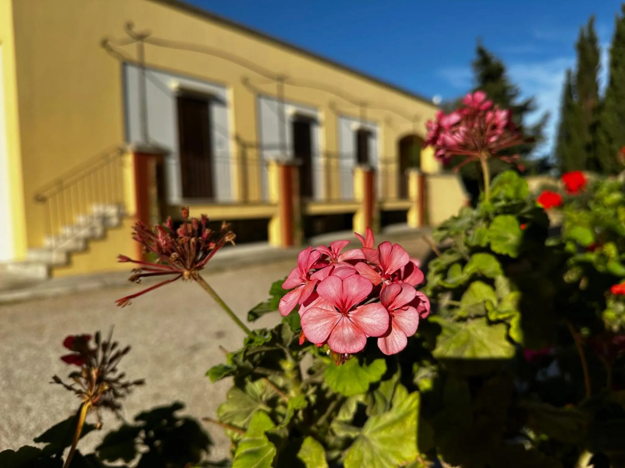 Garden in Agriturismo Il Trappeto