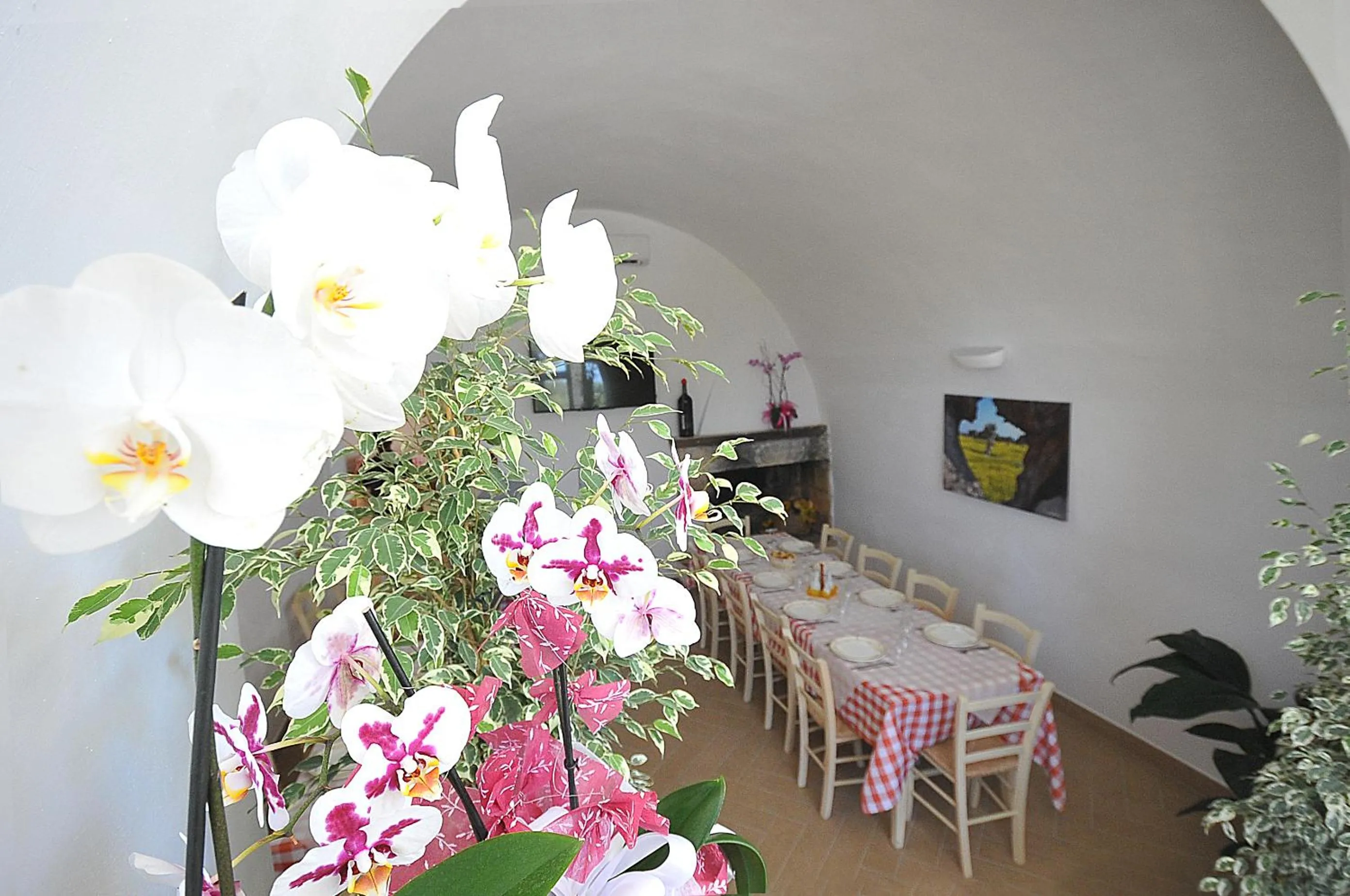 Restaurant/places to eat in Agriturismo Il Trappeto