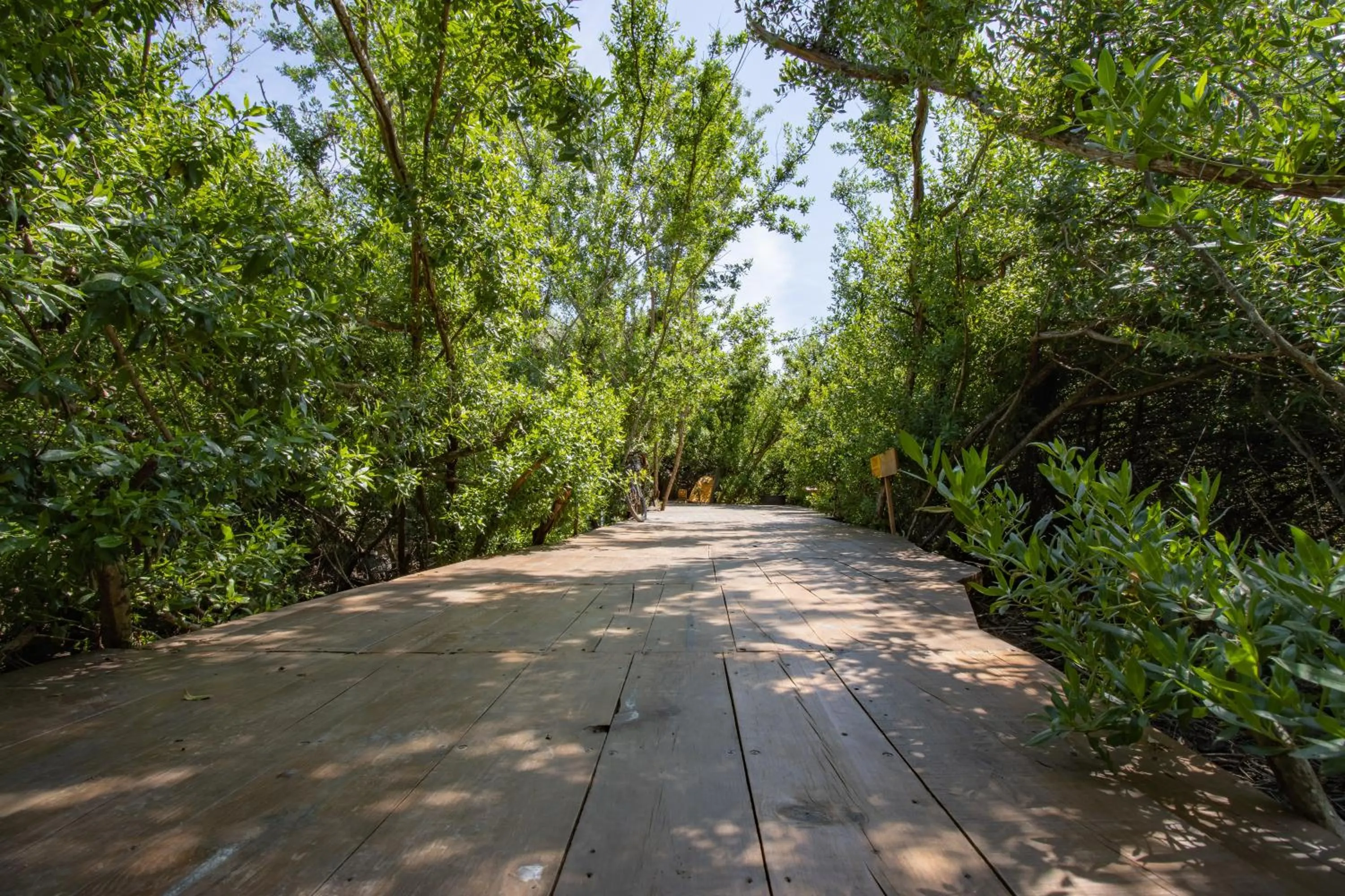Natural landscape in Posada Corazon Mazunte