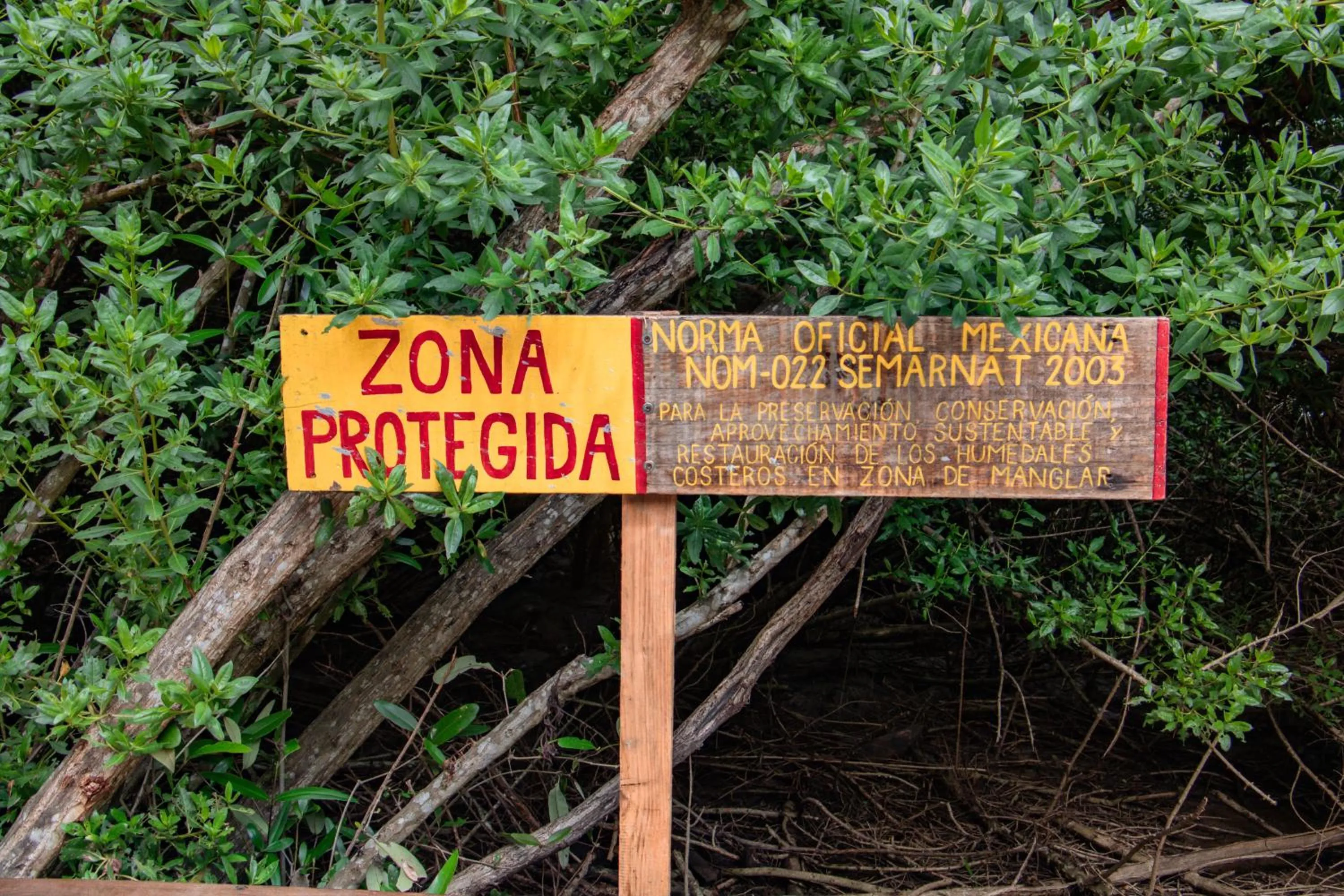 Natural landscape in Posada Corazon Mazunte