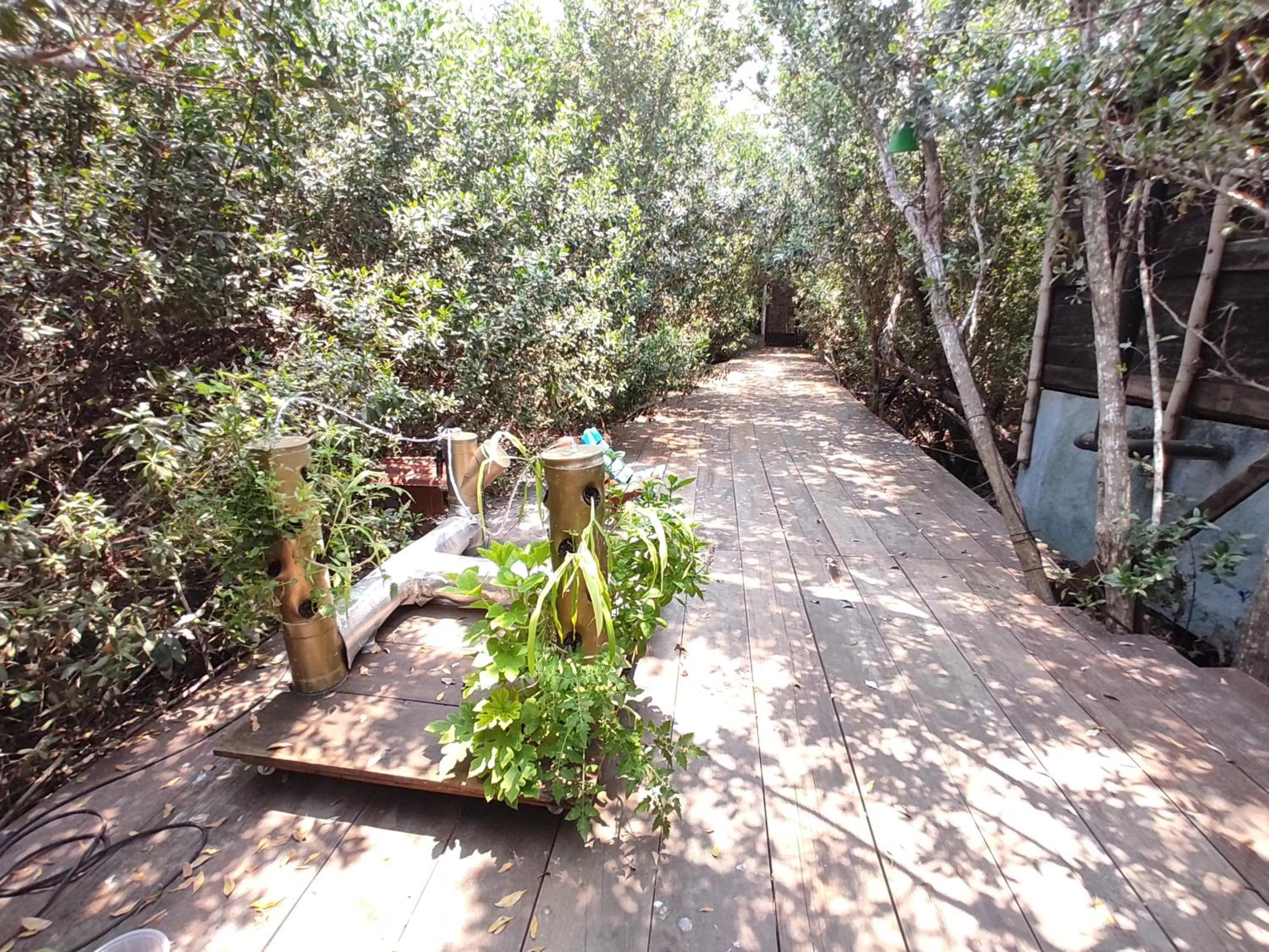 Patio in Posada Corazon Mazunte