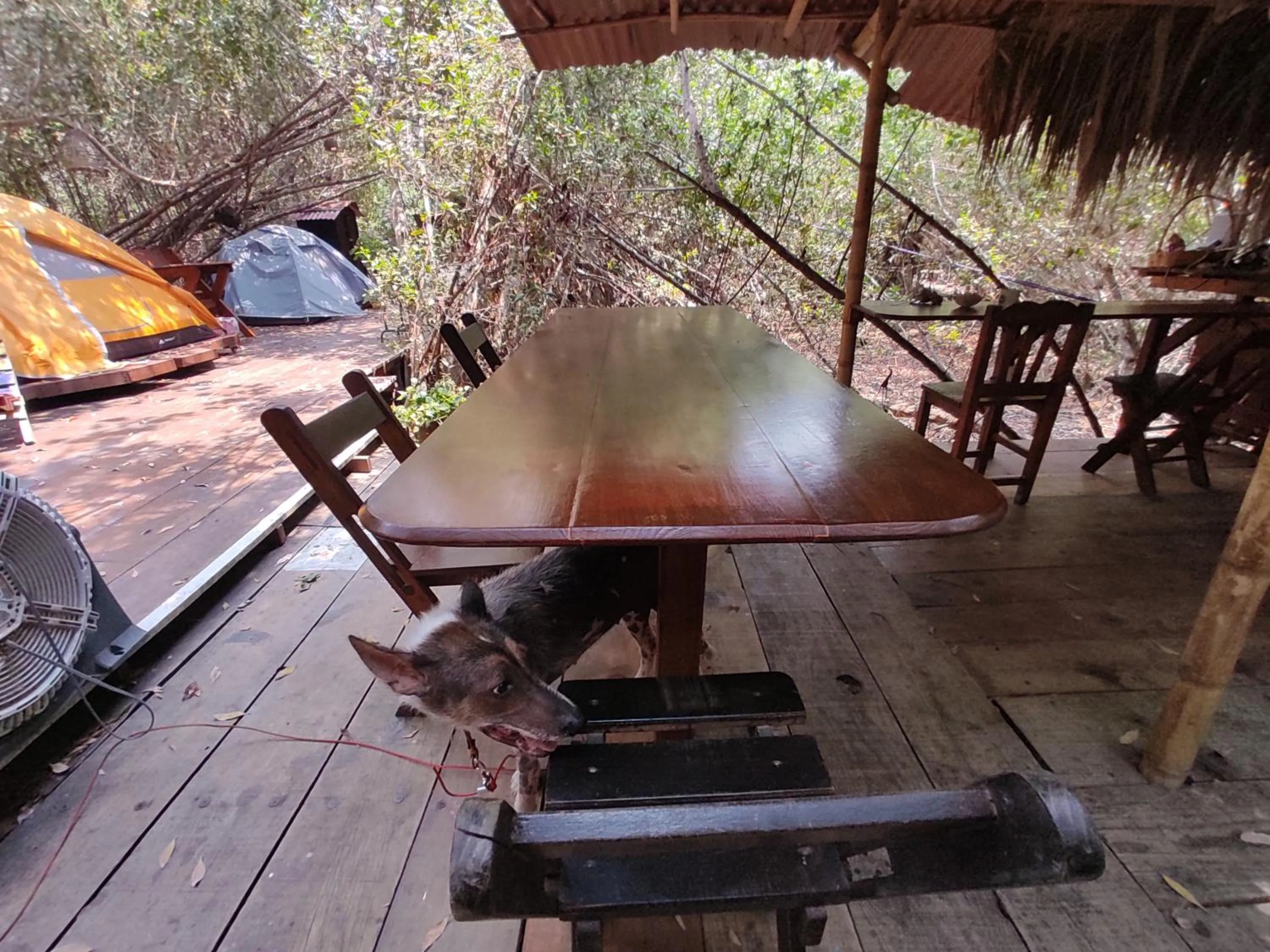 Lobby or reception in Posada Corazon Mazunte
