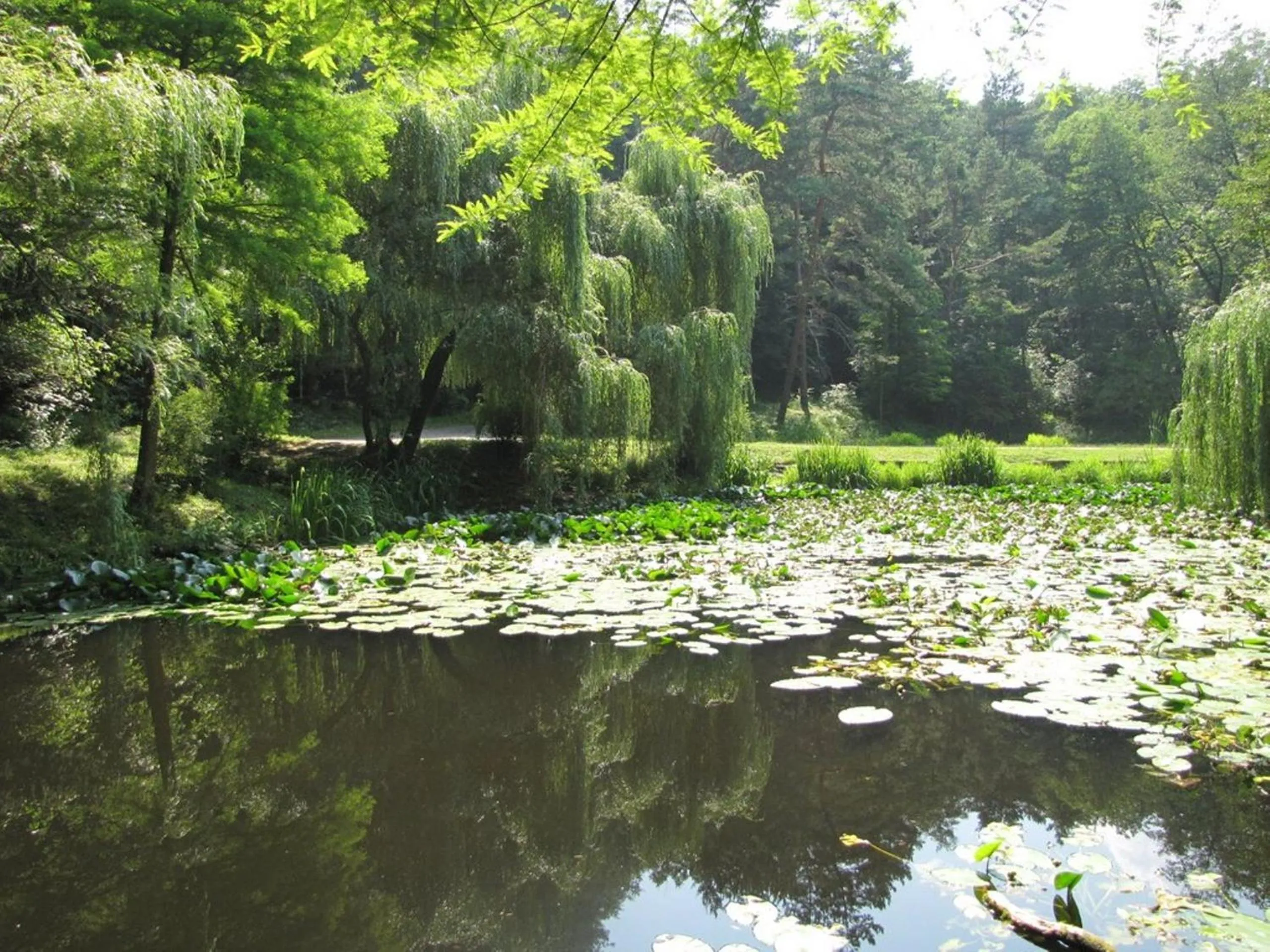 Area and facilities in Hotel Parang