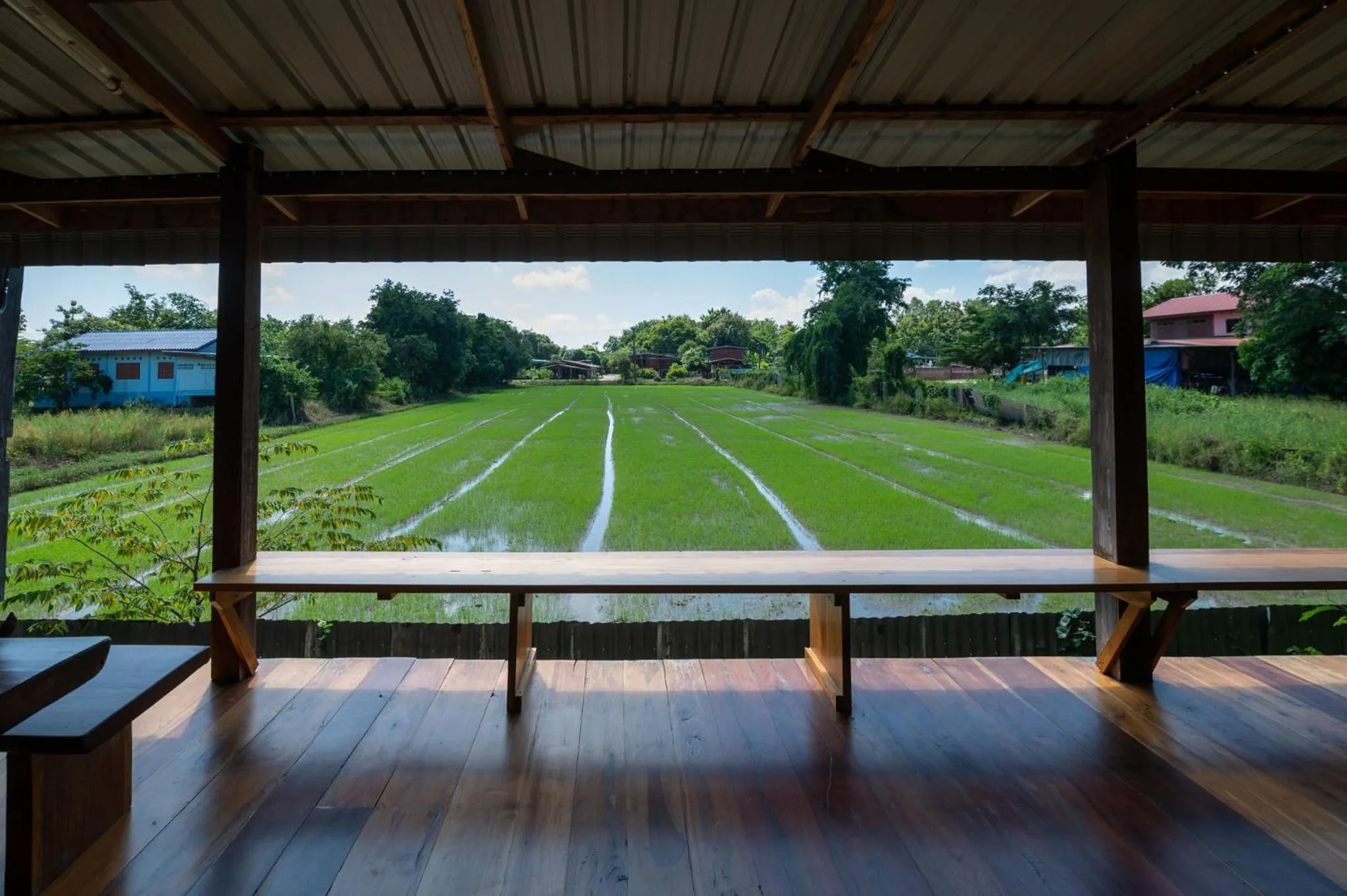View (from property/room) in Suk Sabai Homestay