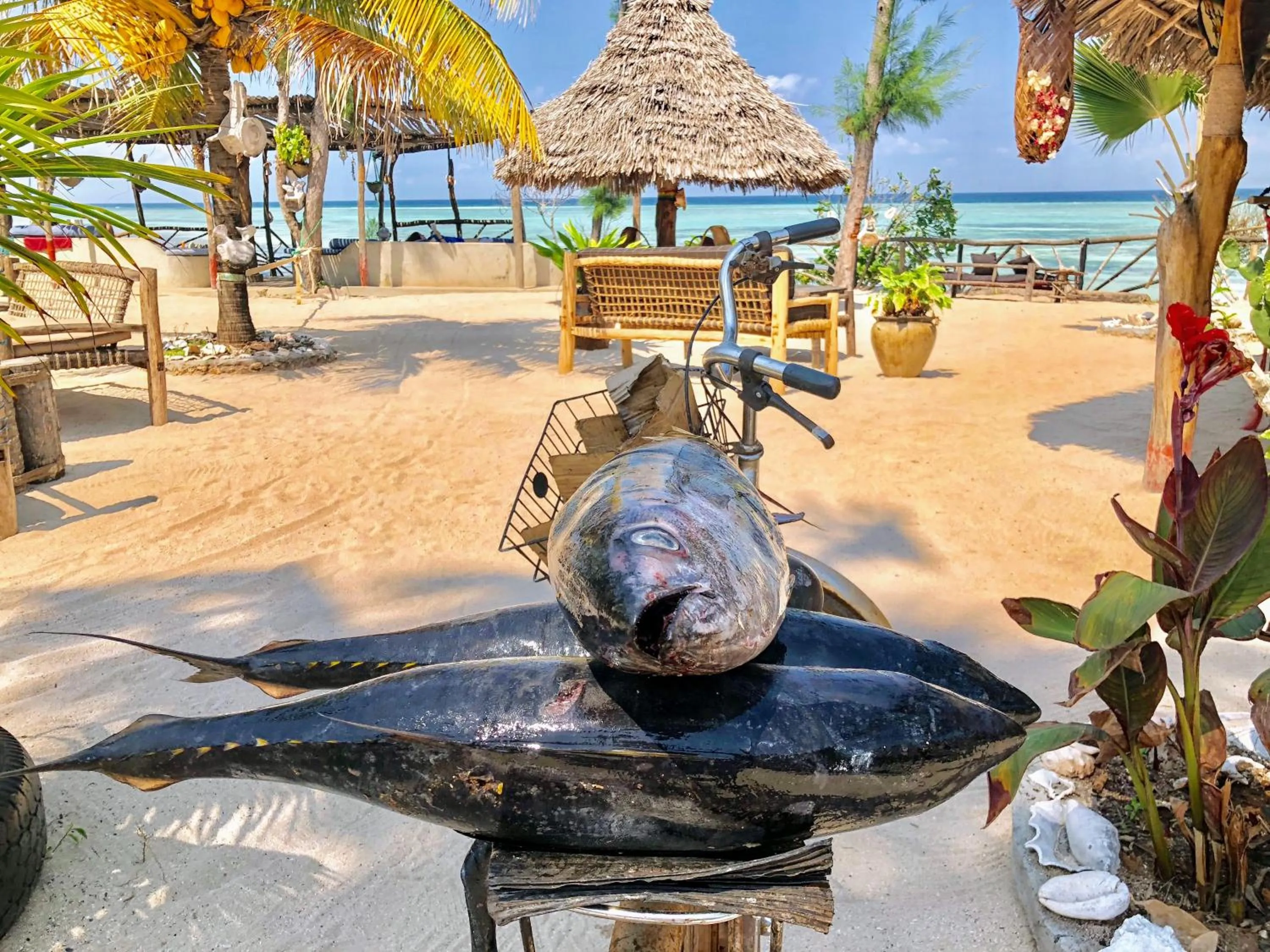 Sea view in Promised Land Lodge