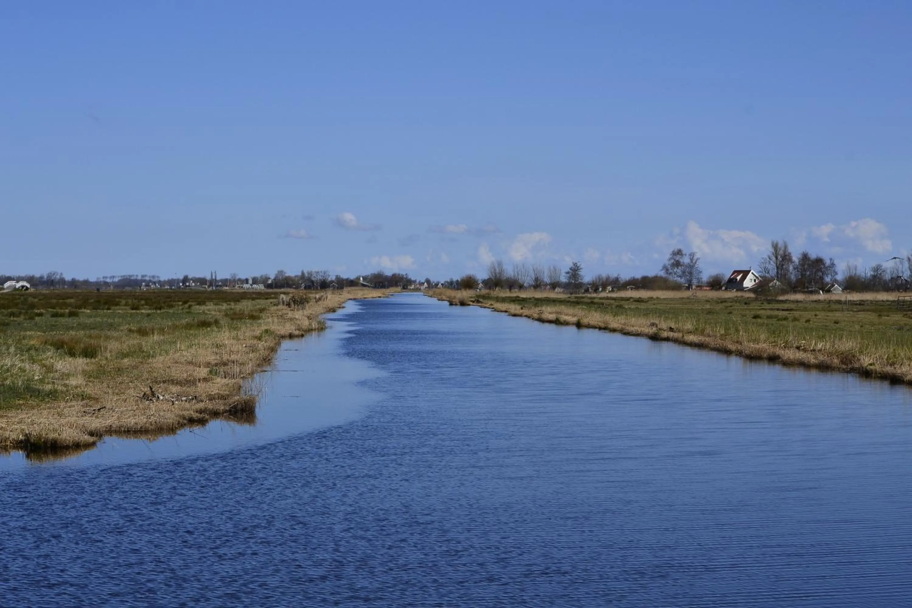 Natural landscape in Floating B&B Amsterdam