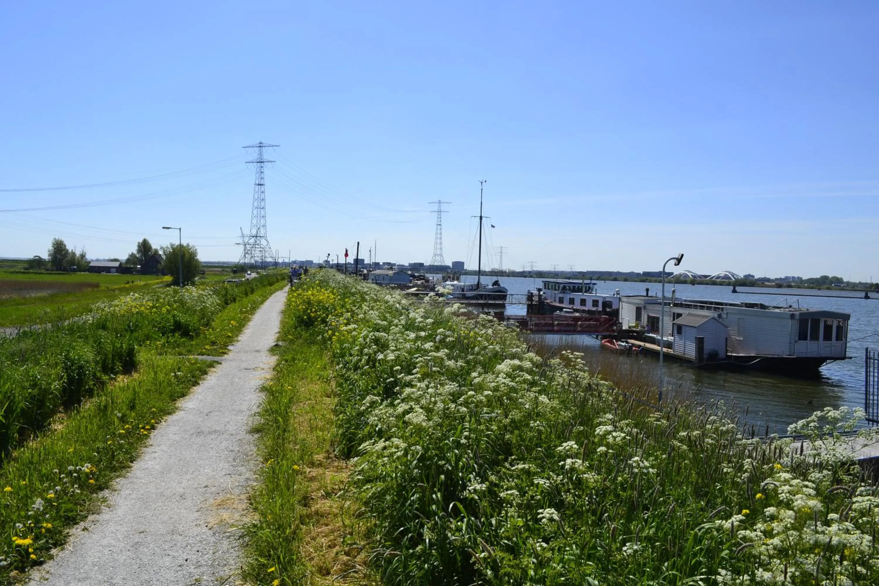 Street view in Floating B&B Amsterdam