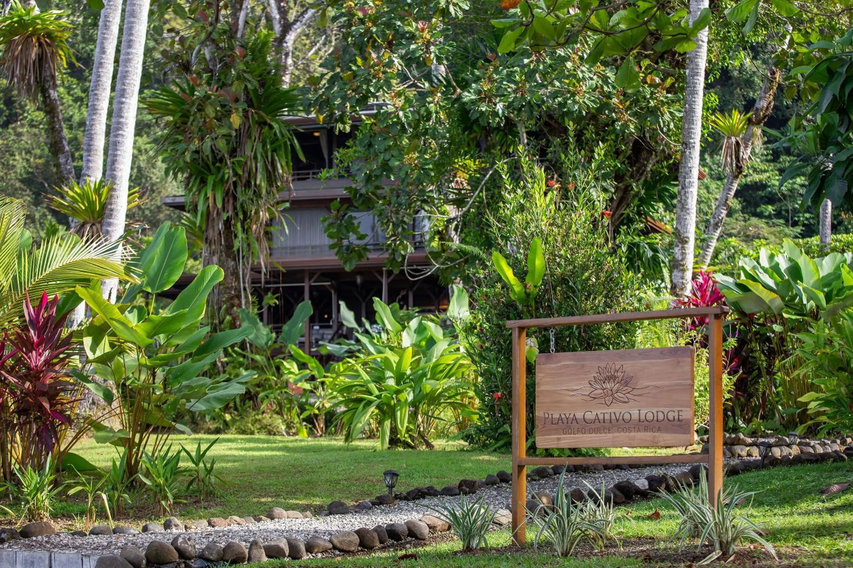 Natural landscape in Playa Cativo Lodge
