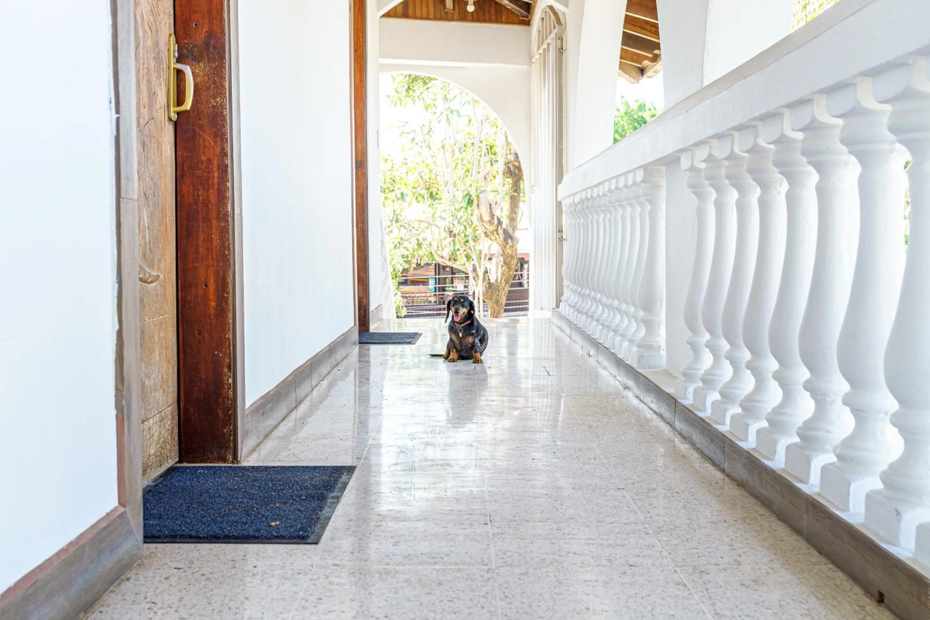 Property building in Hotel Mar Rey