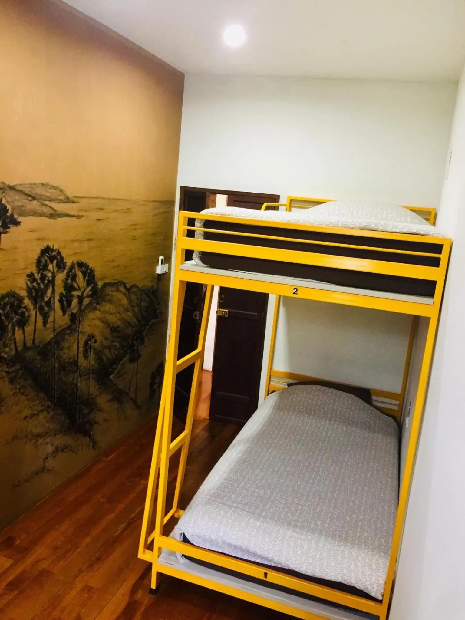 Photo of the whole room, Bed in Phuket Sunny Hostel Photo of the whole room, Bed in Phuket Sunny Hostel
