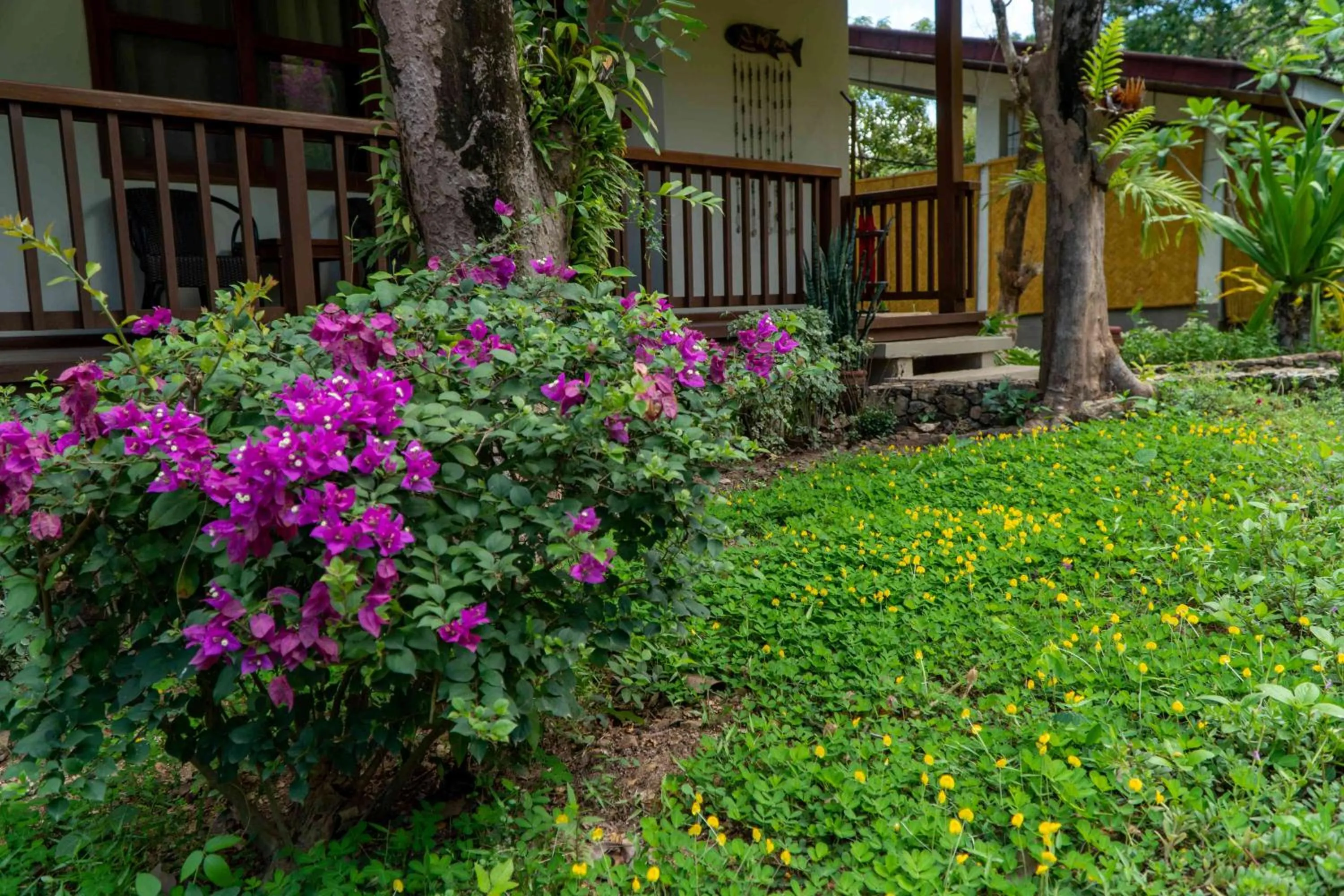 Natural landscape in Asia Grand View Hotel