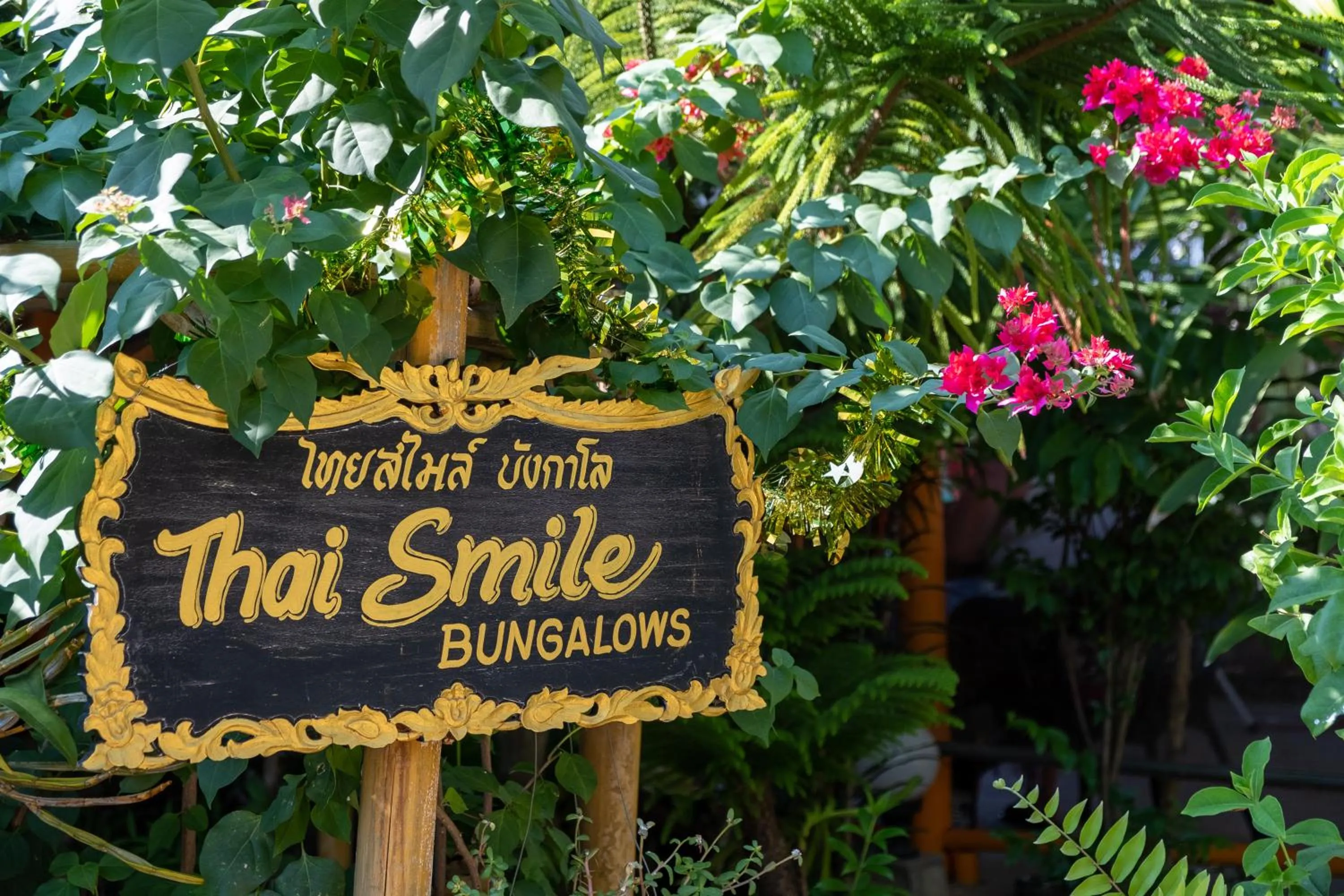 Property building in Thai Smile Bungalows