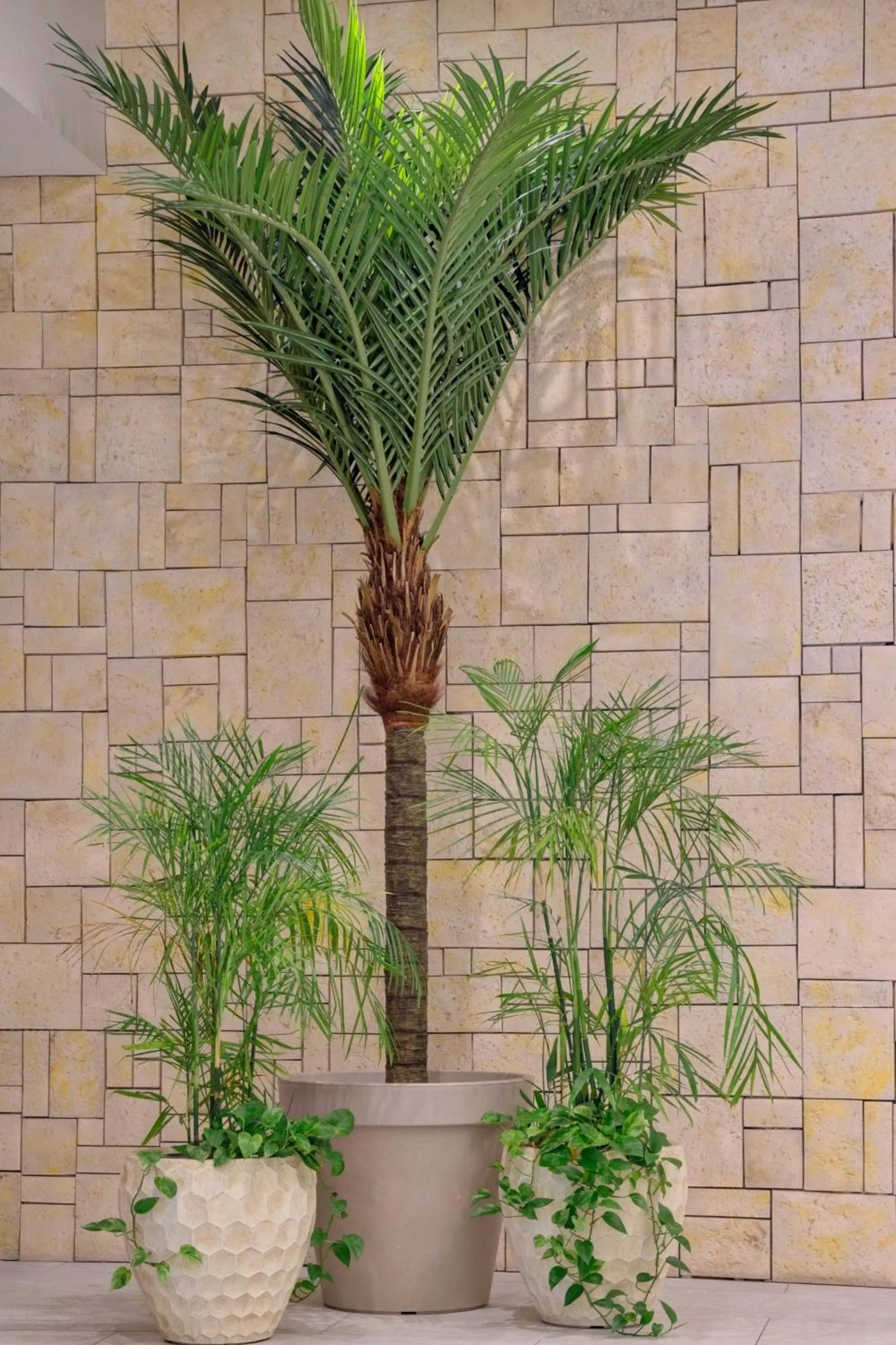 Other in JW Marriott St Maarten Beach Resort & Spa