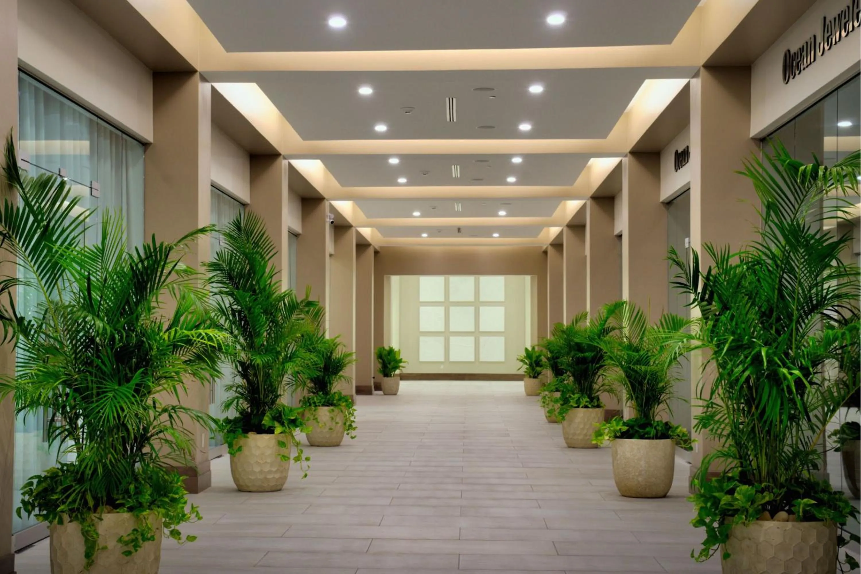 Lobby or reception in JW Marriott St Maarten Beach Resort & Spa