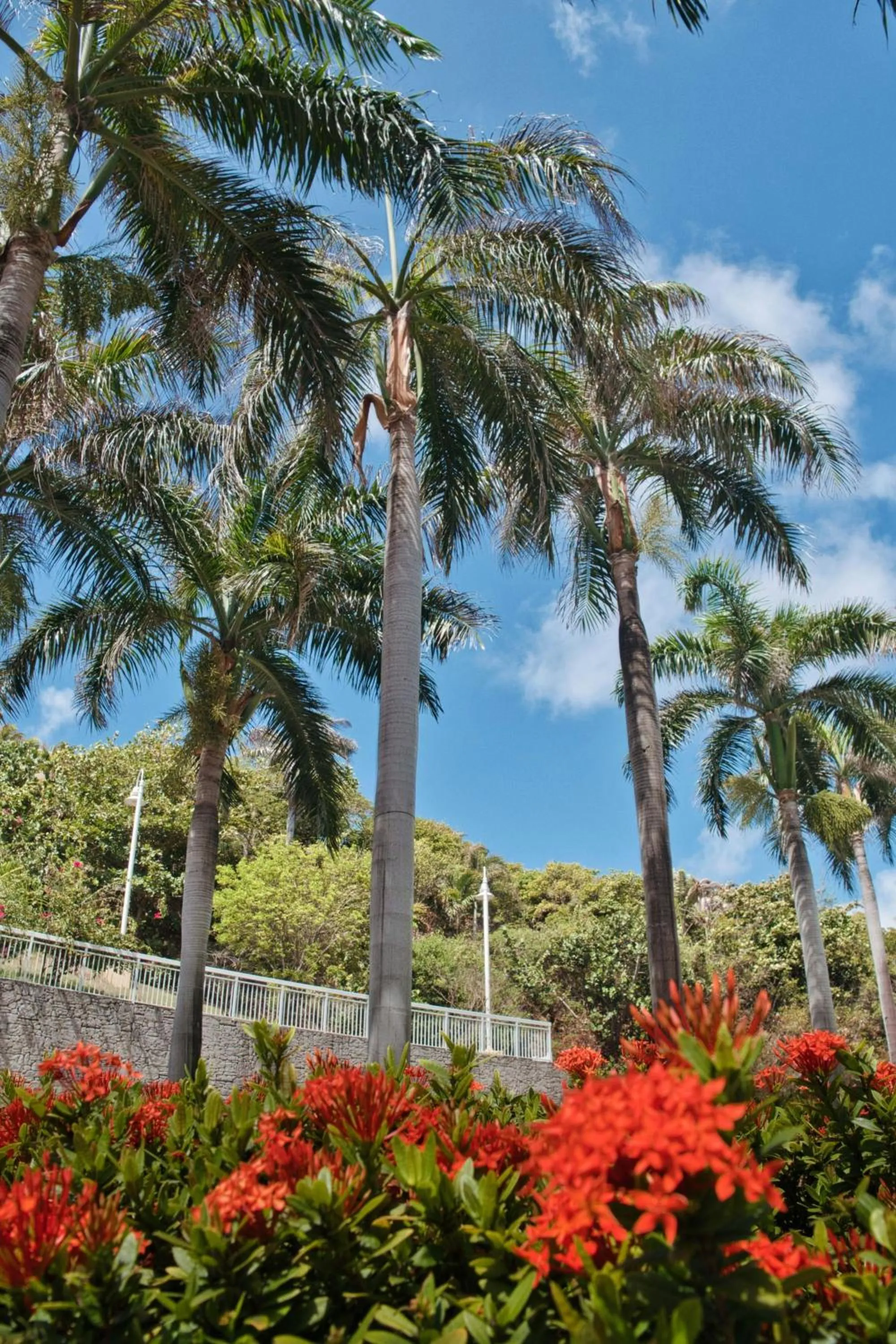 Property building in JW Marriott St Maarten Beach Resort & Spa
