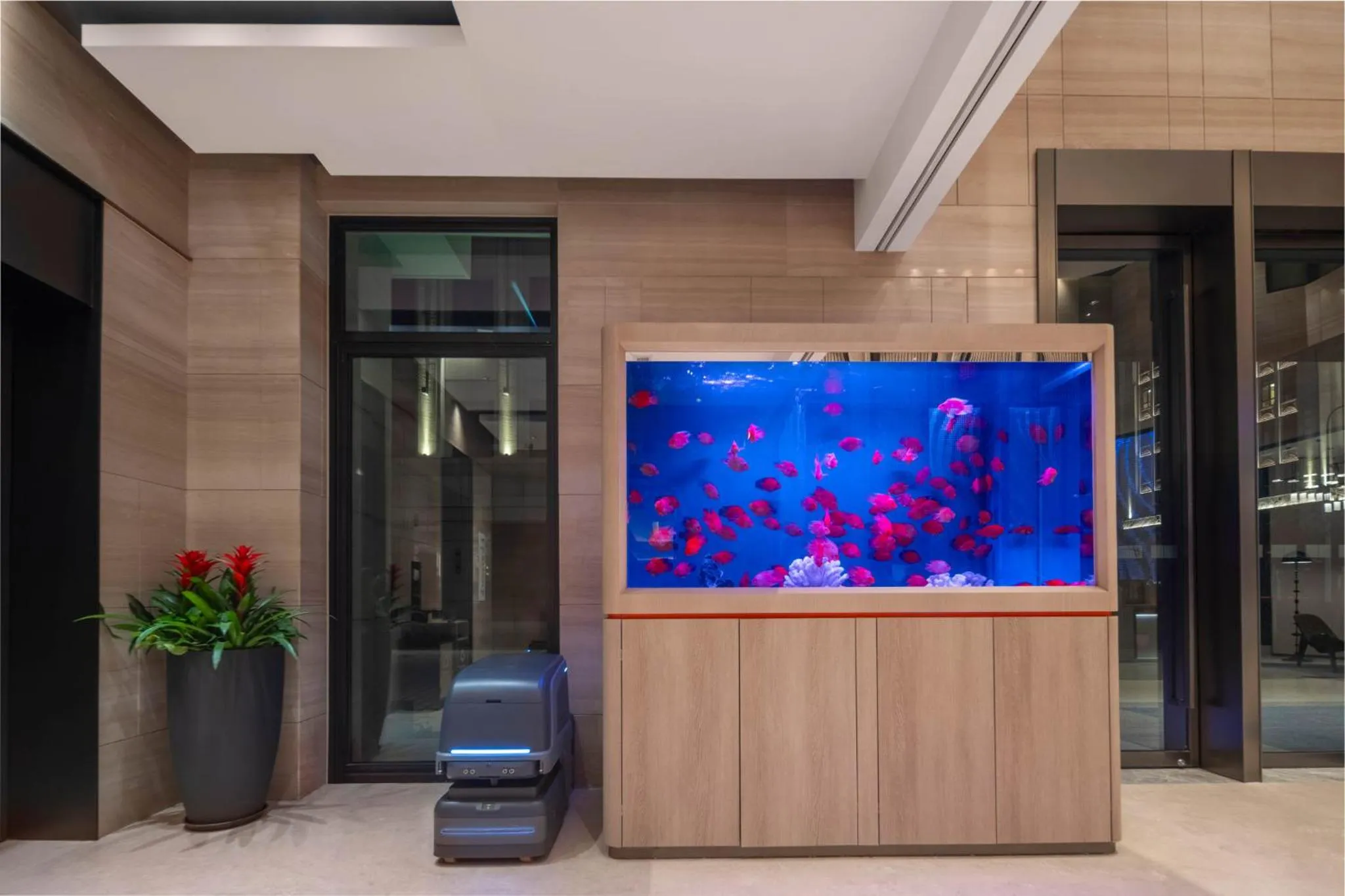 Other in Holiday Inn Express Shanghai Hongqiao NECC by IHG