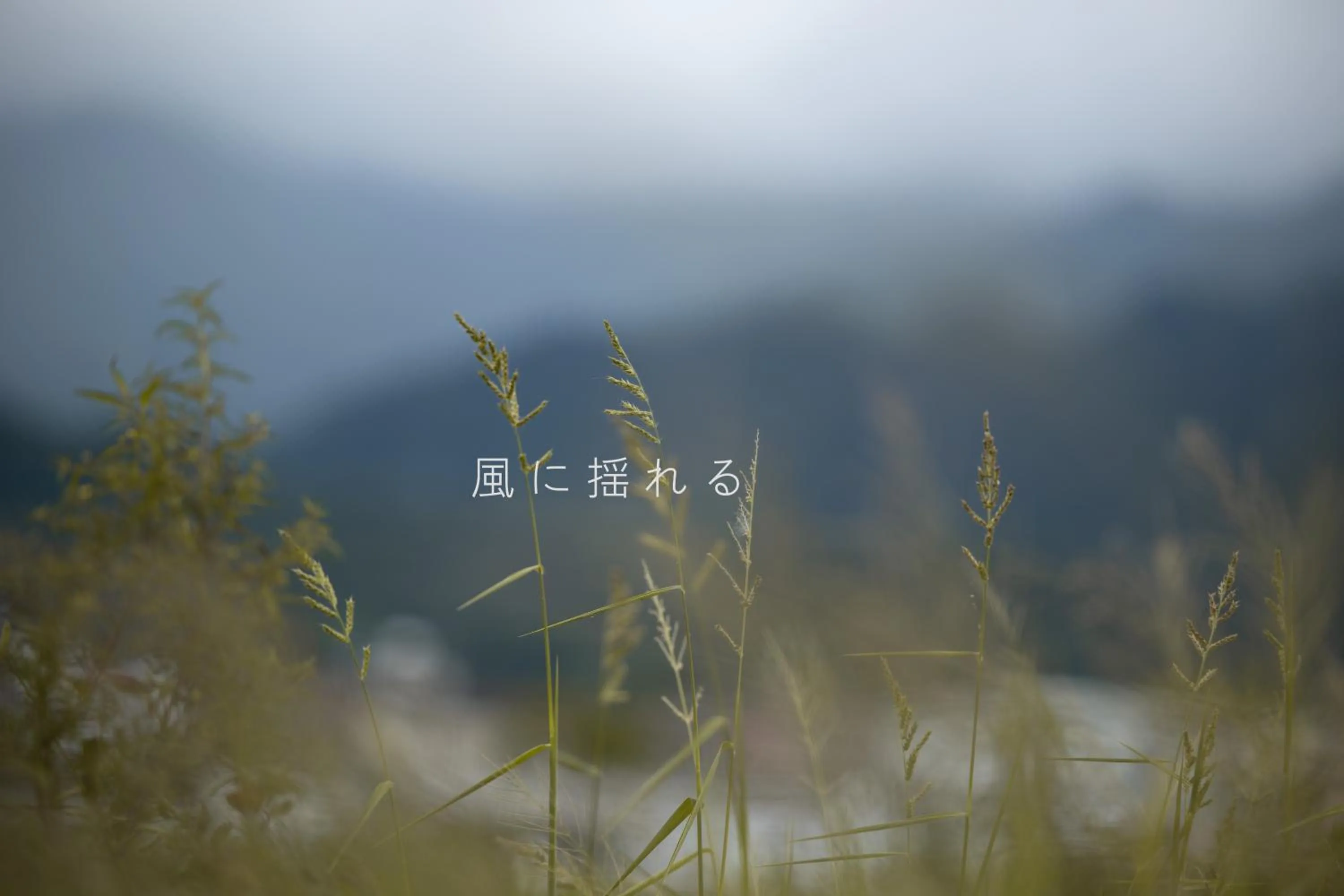 Natural landscape in Sasa Youth Hostel