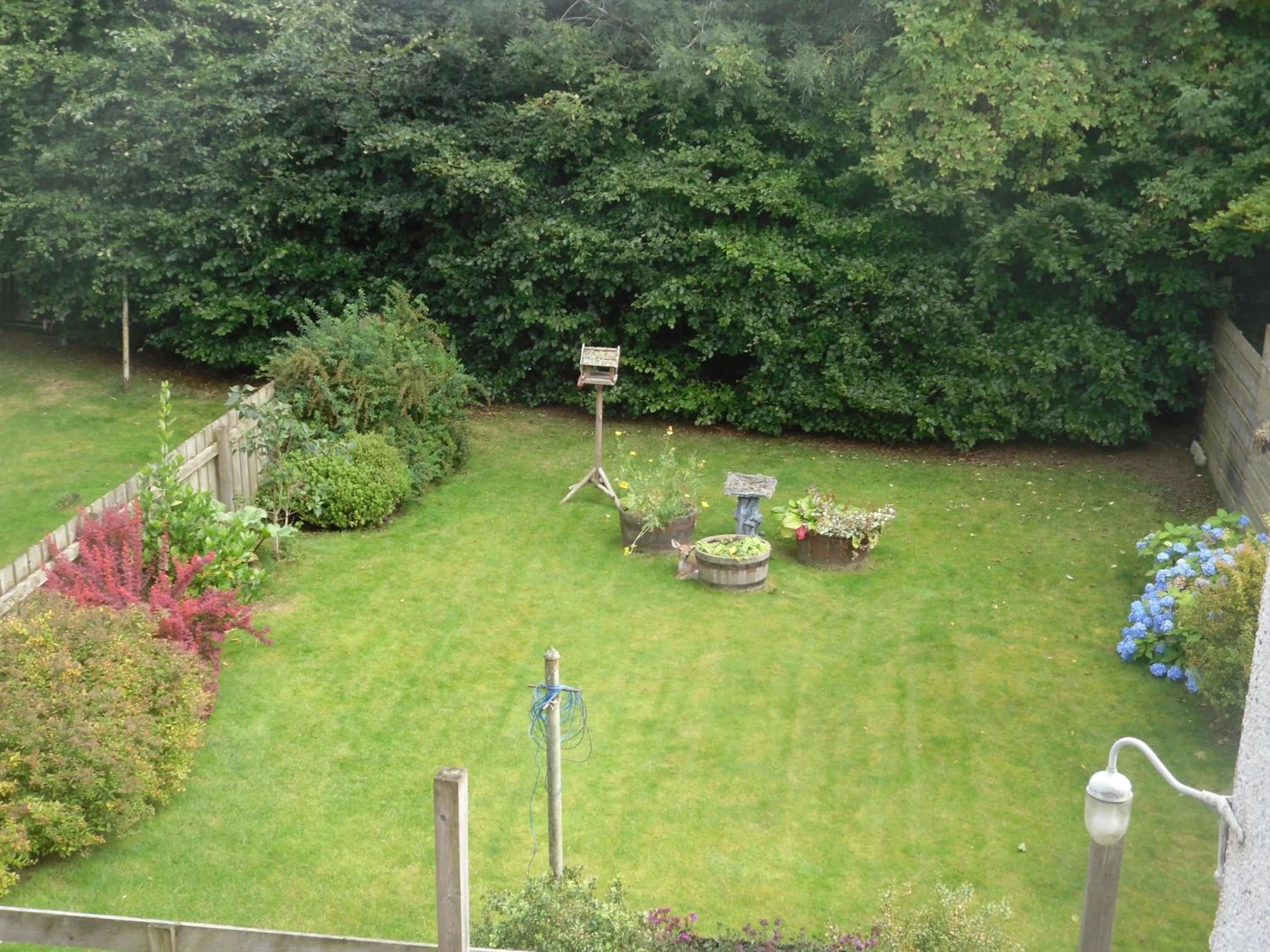 Garden view in Morlea Bed & Breakfast