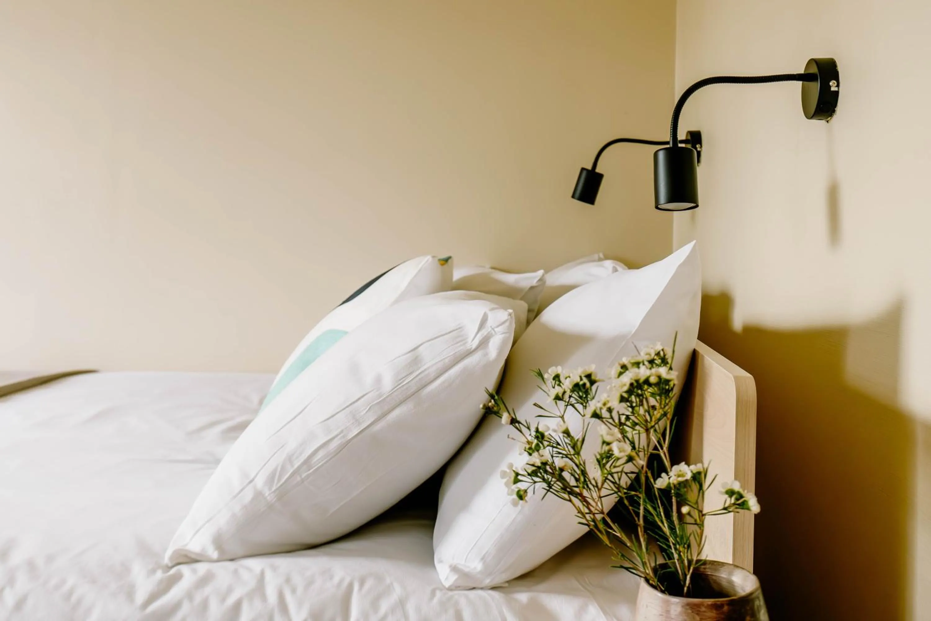 Bed in Mason & Fifth, Primrose Hill