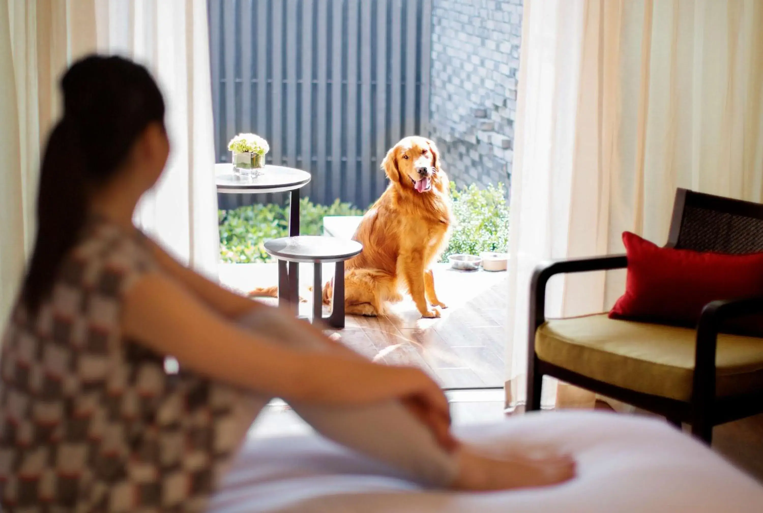 Photo of the whole room in Hyatt Regency Chongming Photo of the whole room in Hyatt Regency Chongming