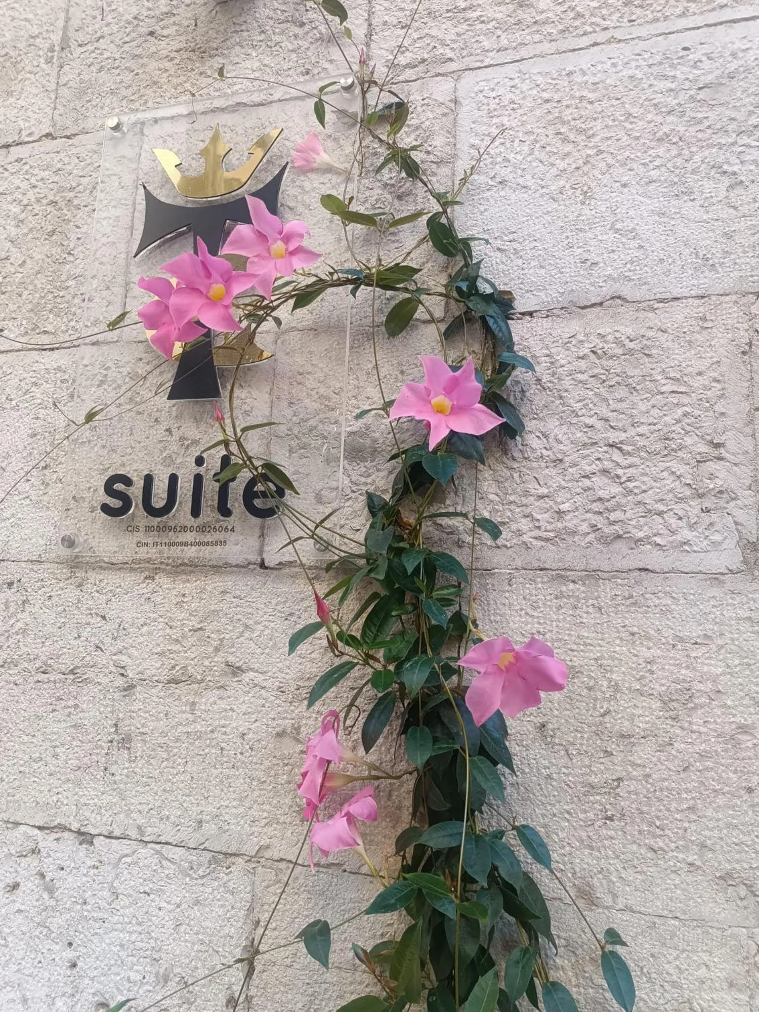 B&B Torre Canina suite & rooms