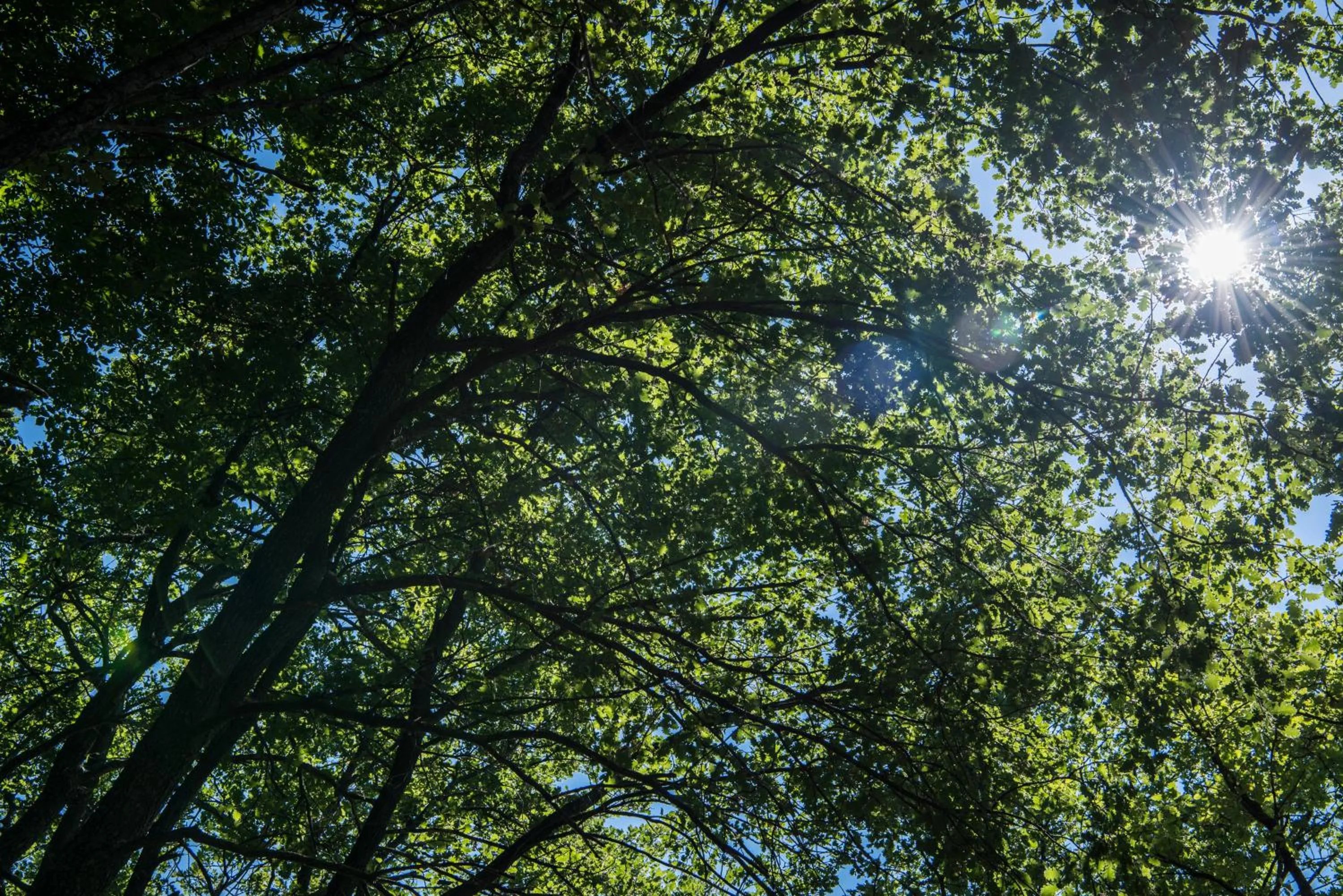 Natural landscape in Relais Cocci Grifoni - Panoramic Wine Resort