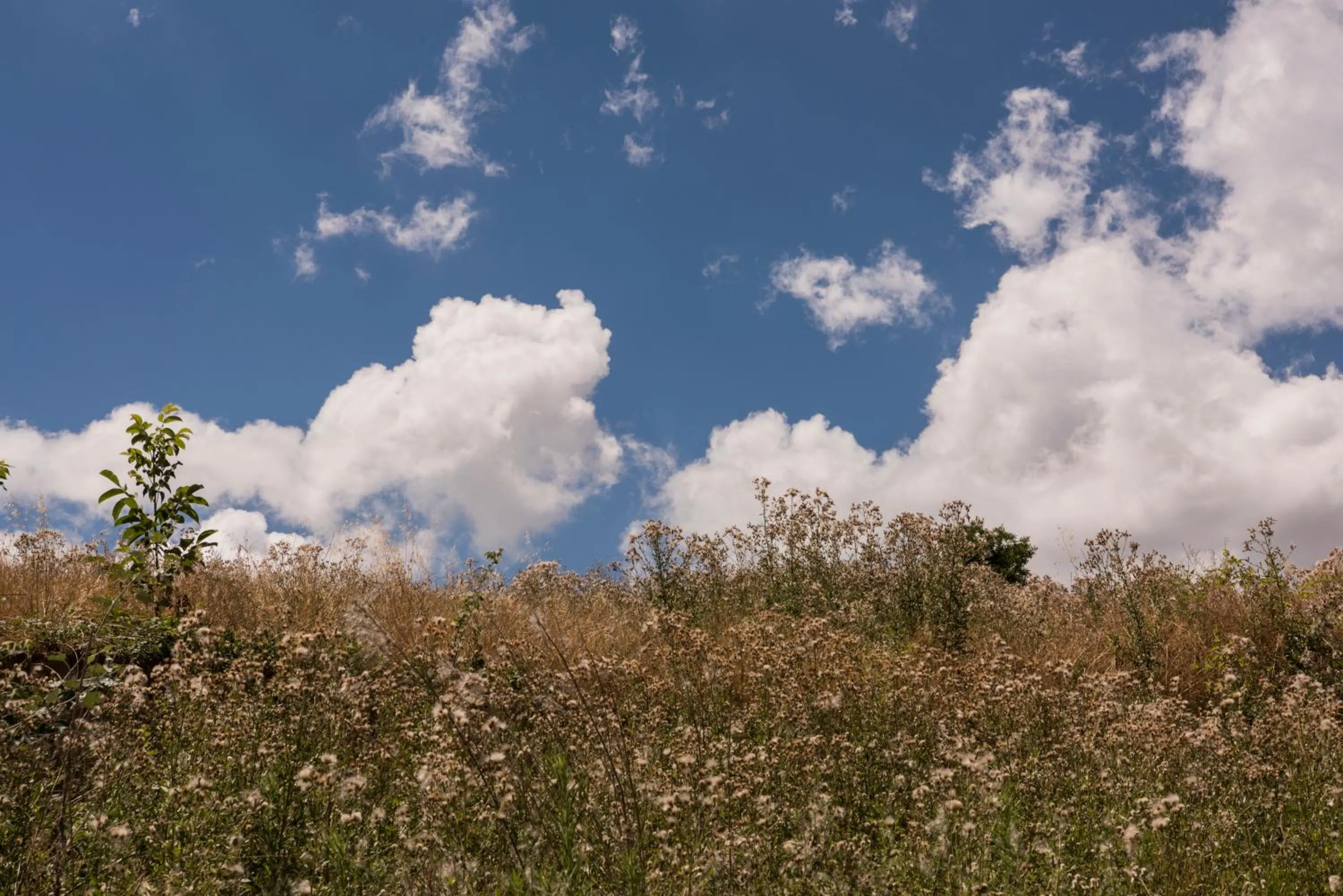 Natural landscape in Relais Cocci Grifoni - Panoramic Wine Resort