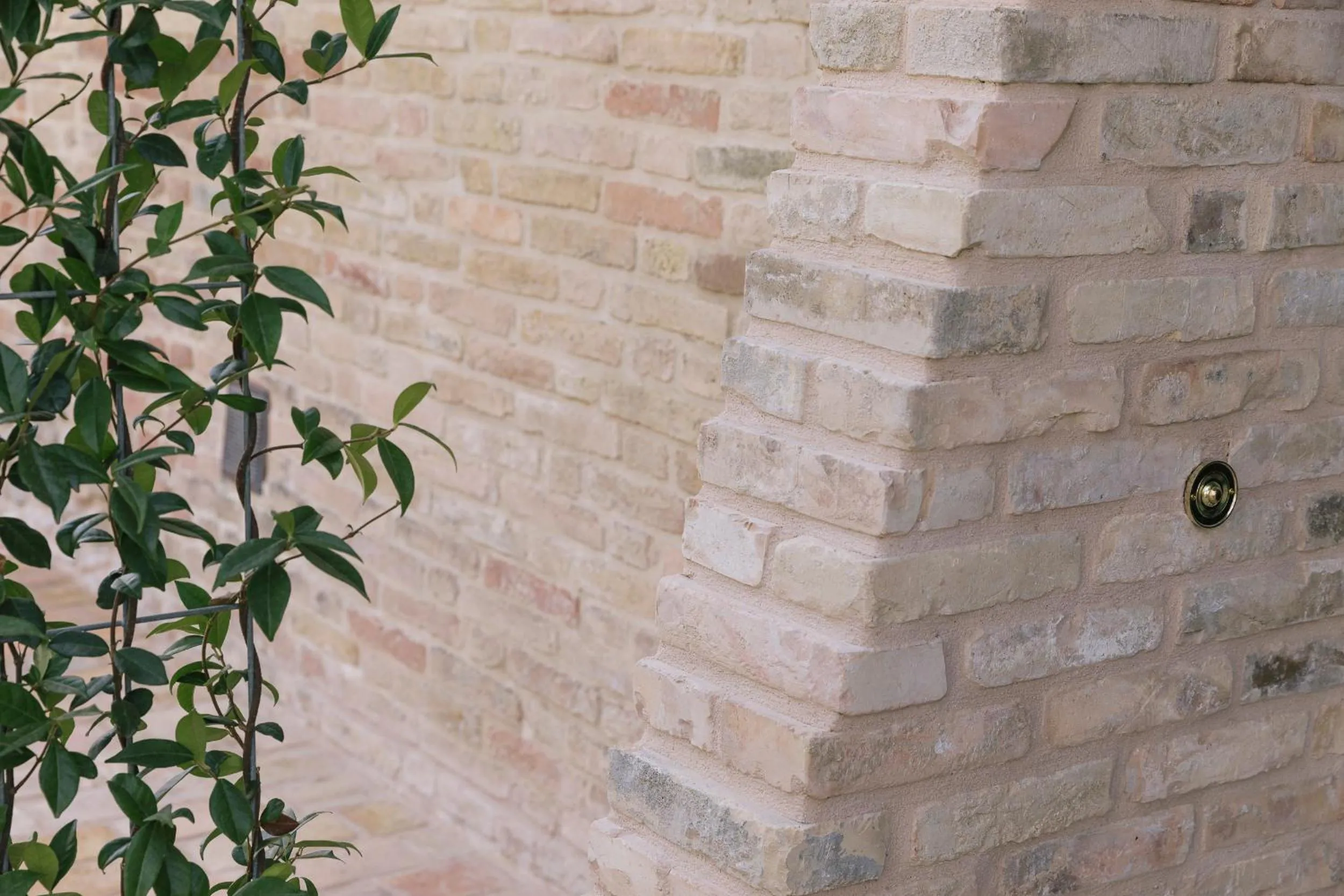 Facade/entrance in Relais Cocci Grifoni - Panoramic Wine Resort