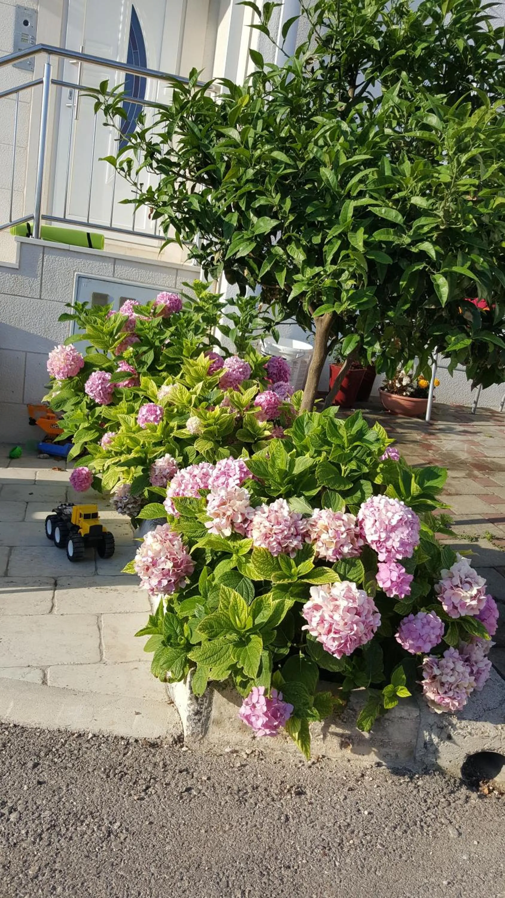 Property building in Apartments Ira