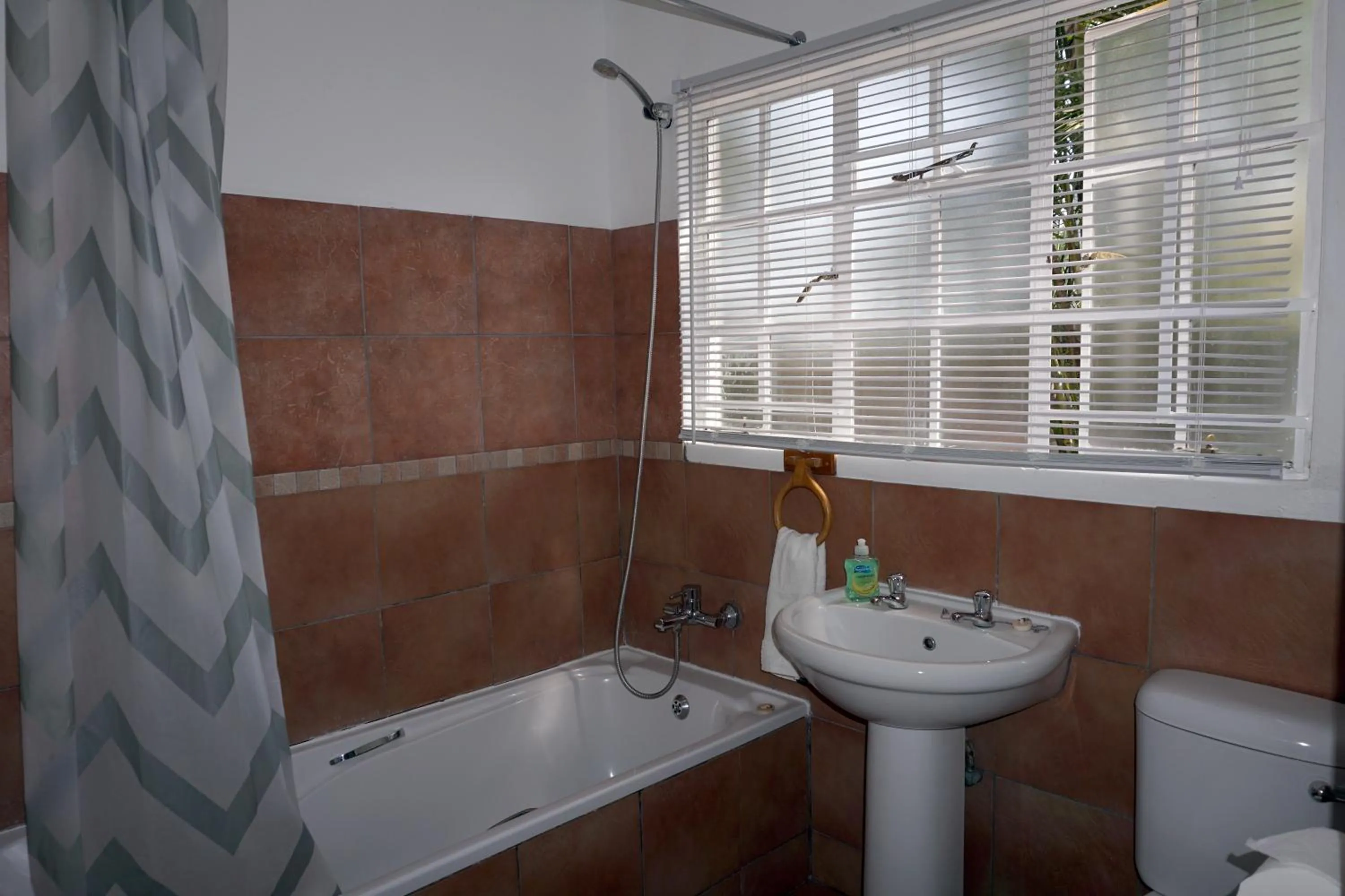 Shower in Sheba Rock Guesthouse