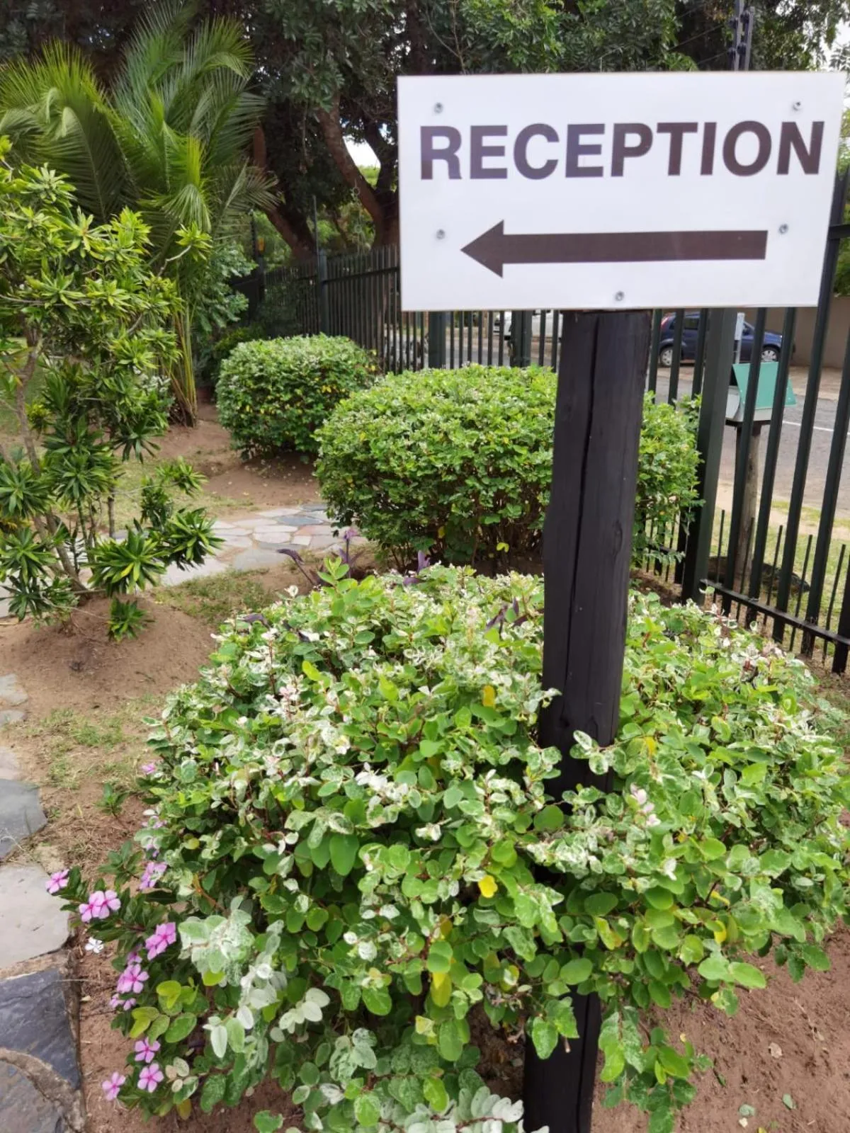 Property building in Sheba Rock Guesthouse