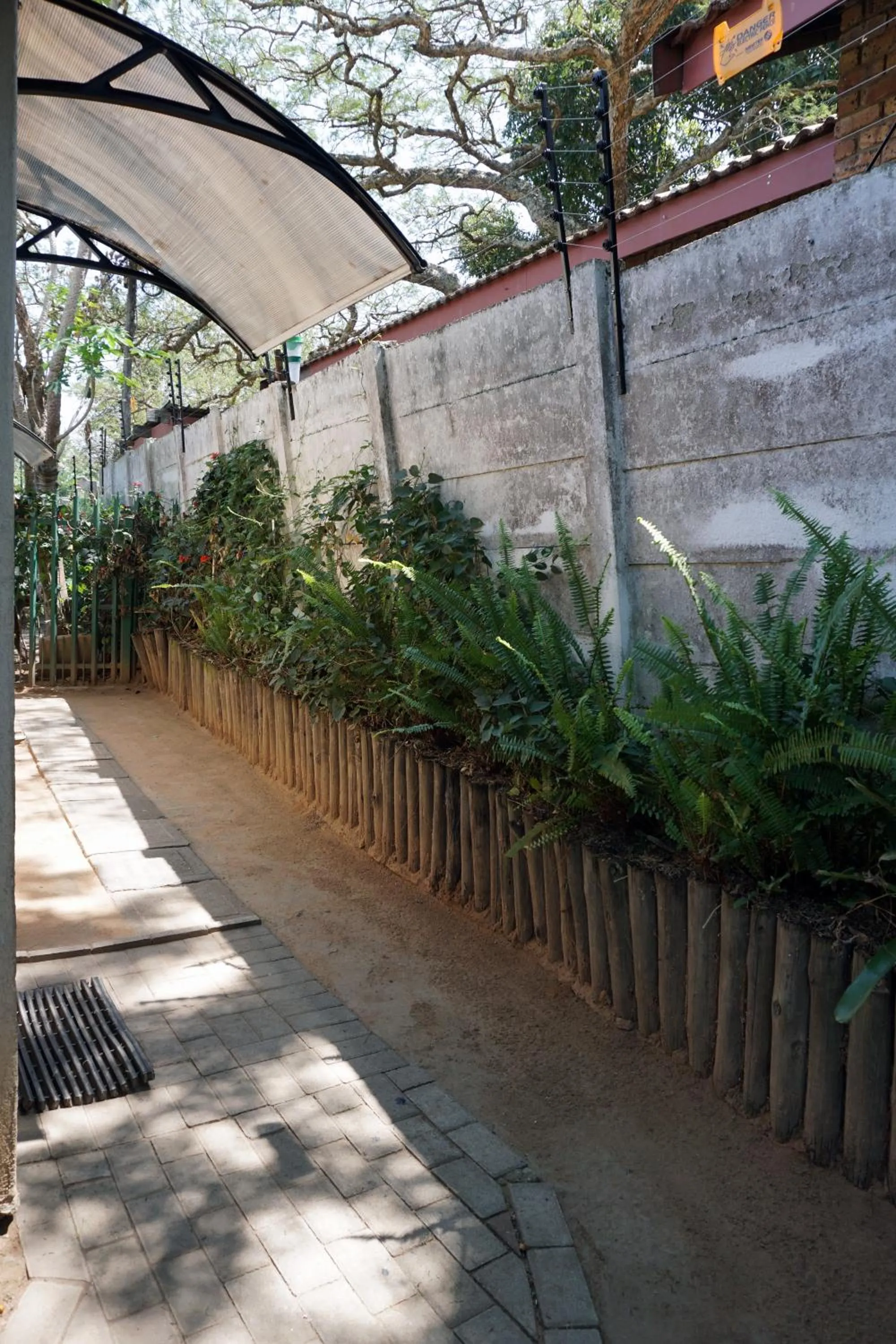 Garden in Sheba Rock Guesthouse