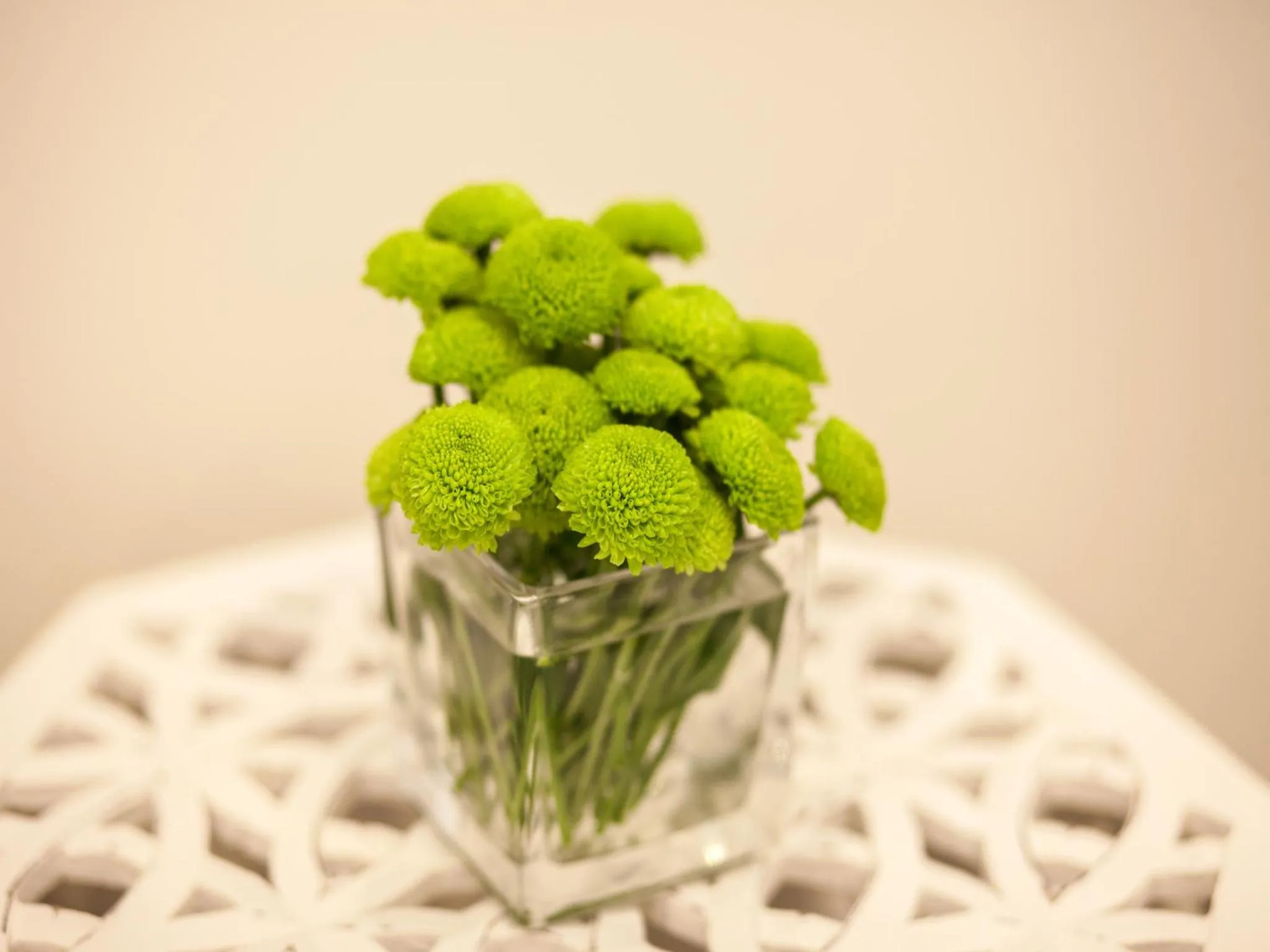 Decorative detail in Casas do Patio Country Houses & Nature