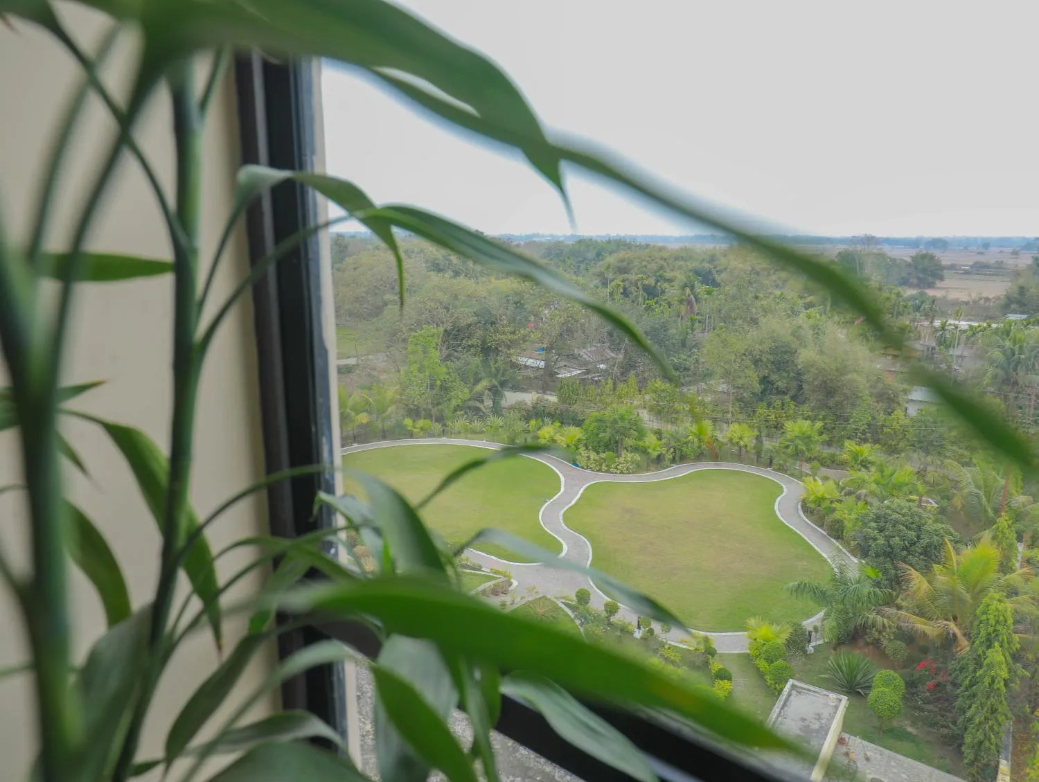 View (from property/room) in The Greenwood, Tezpur