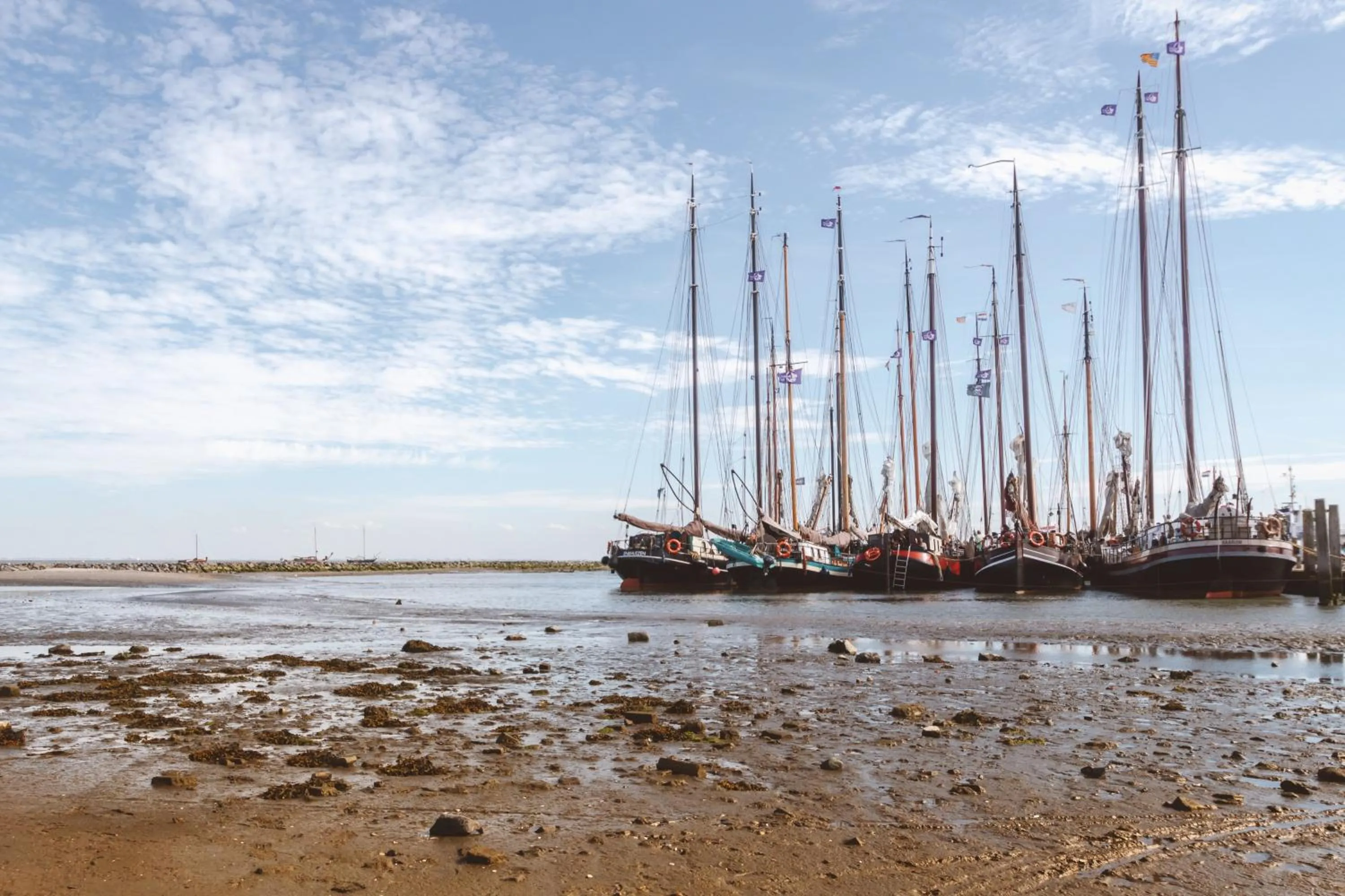 Natural landscape in Van Heeckeren Hotel