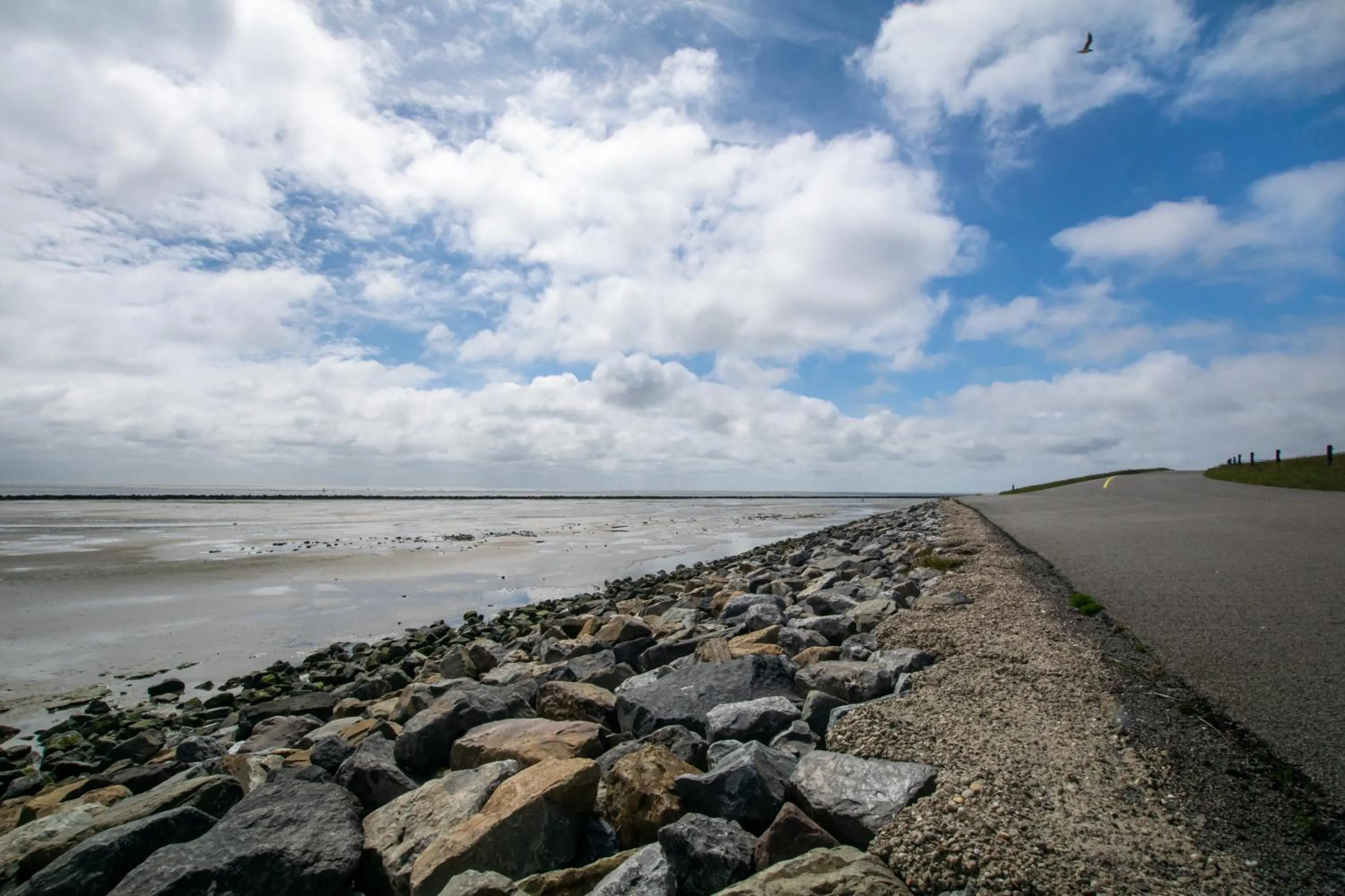 Natural landscape in Van Heeckeren Hotel