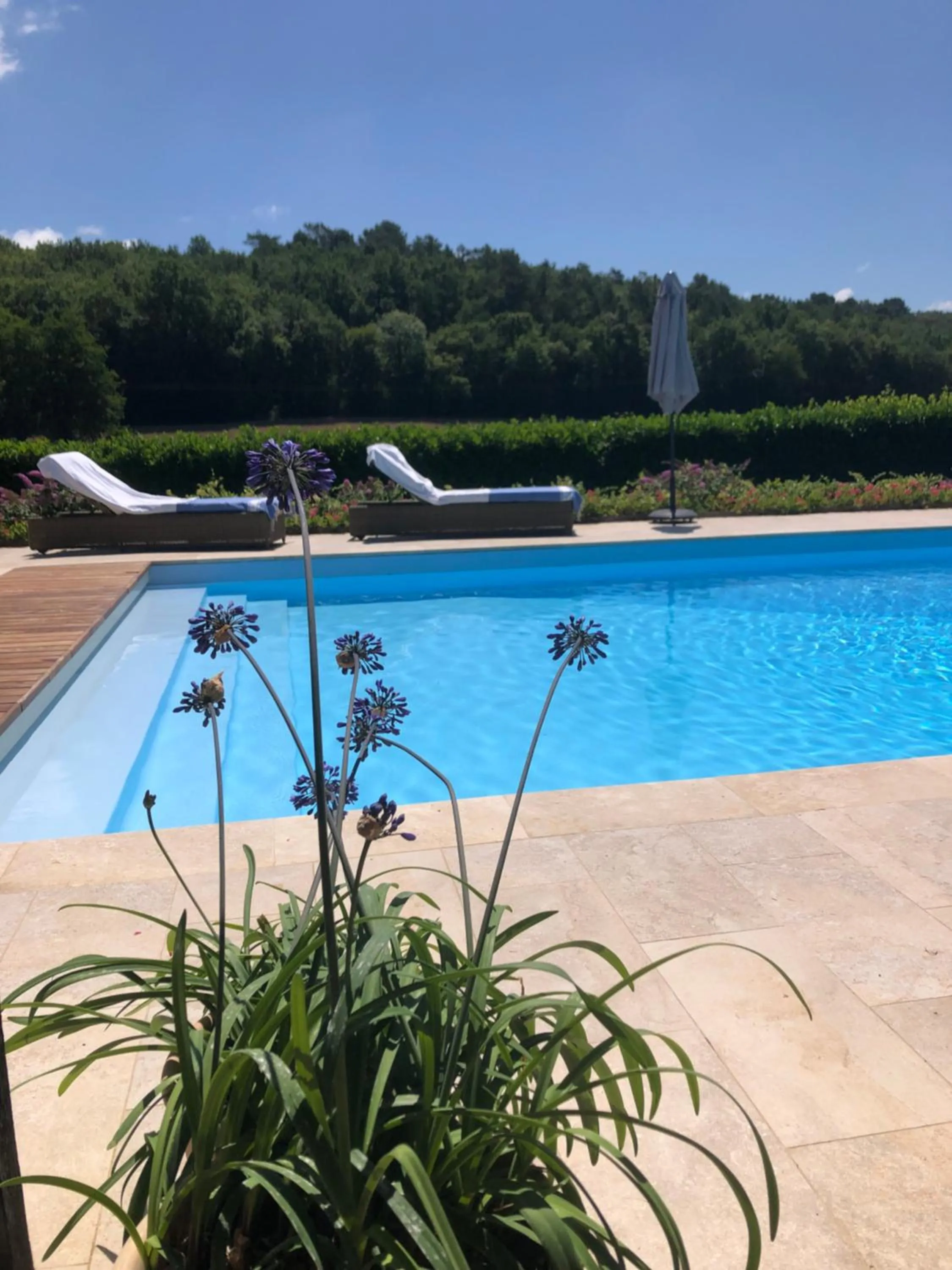 Swimming pool in La Libertie