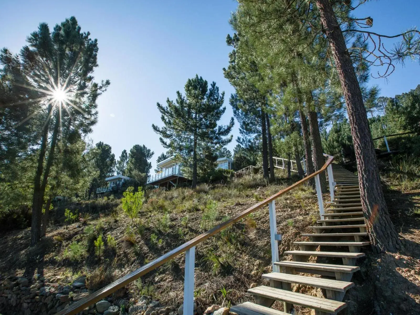 Mountain view in Old Mac Daddy Mountain view in Old Mac Daddy