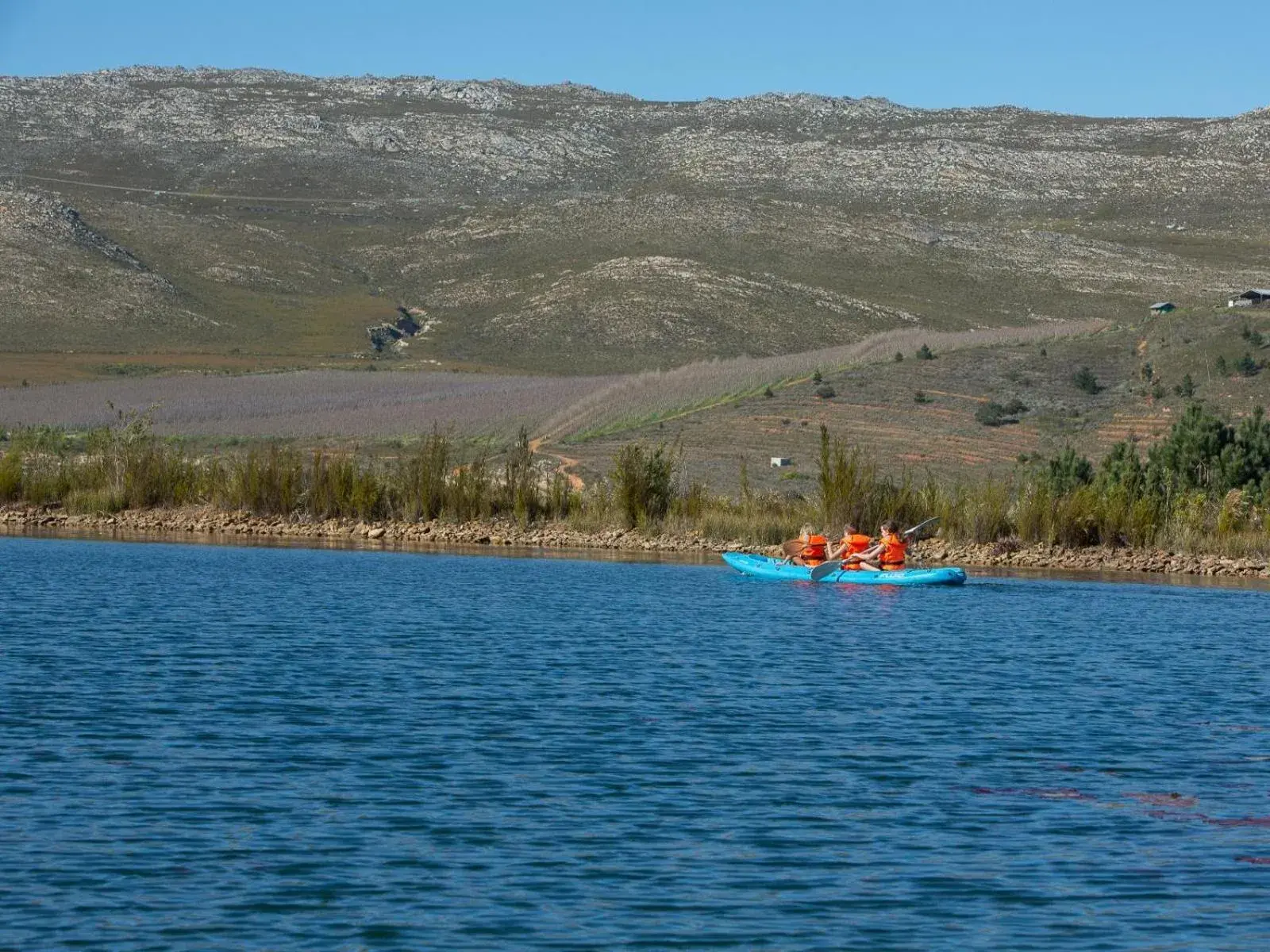 Lake view in Old Mac Daddy Lake view in Old Mac Daddy