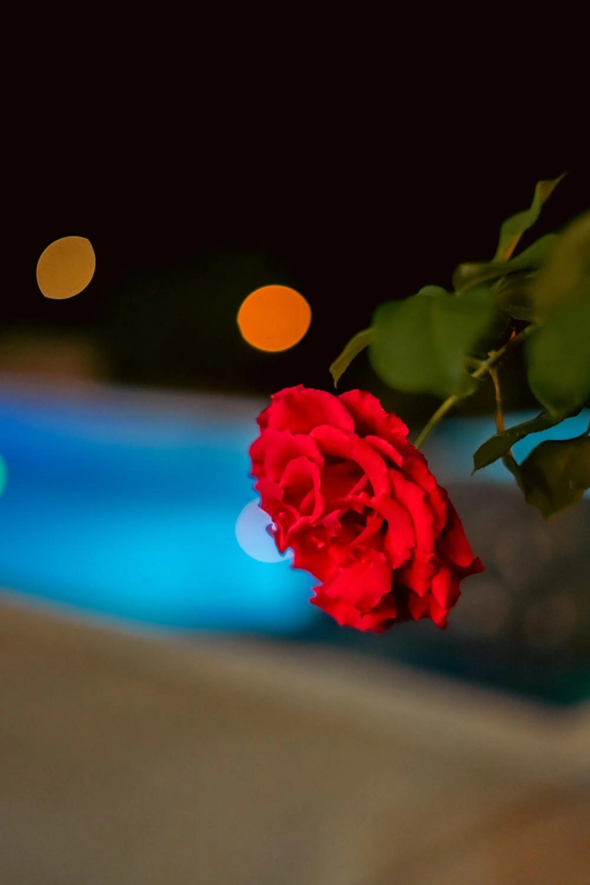 Garden in Cannatel Exclusive Hotel