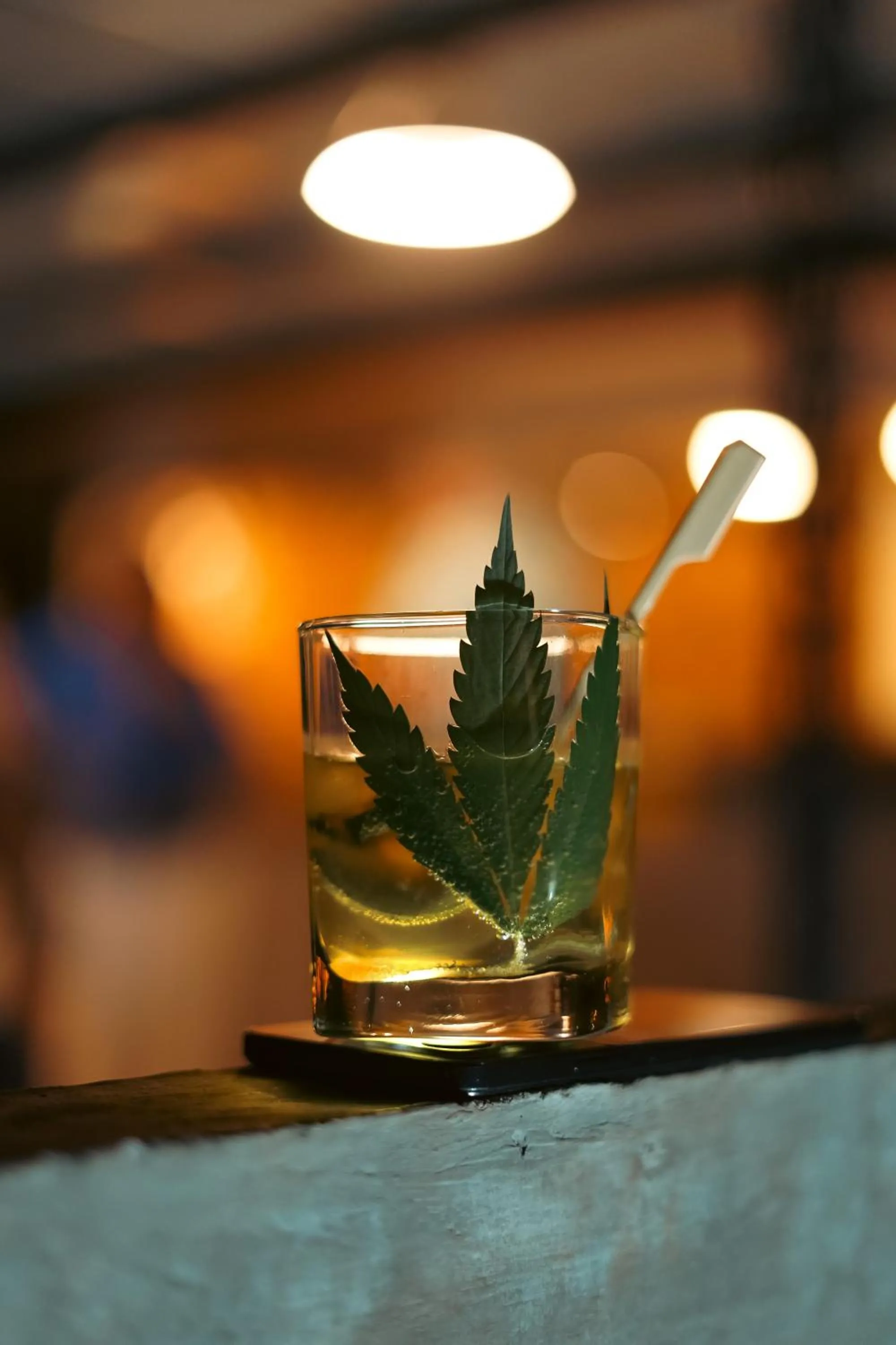 Lounge or bar in Cannatel Exclusive Hotel