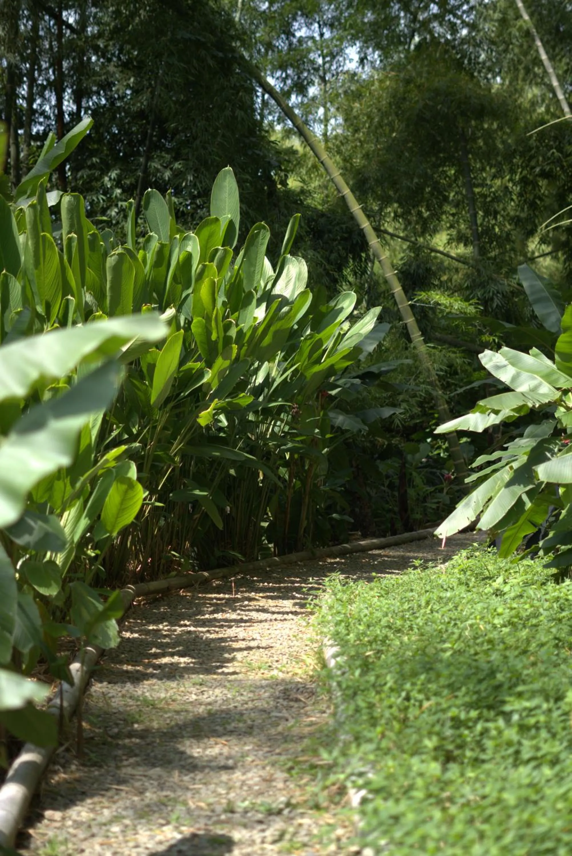 Spring in Cannatel Exclusive Hotel