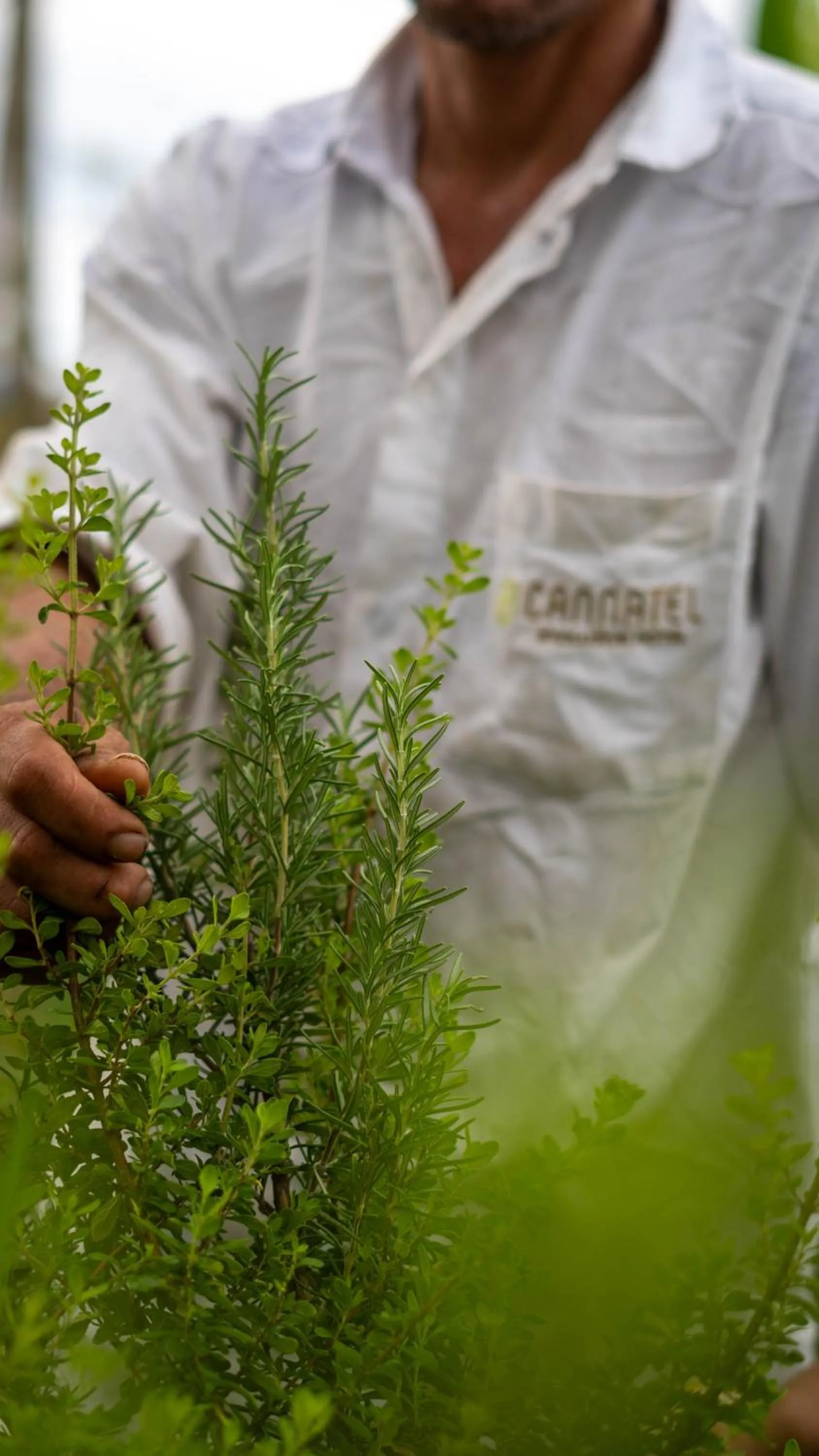 Spring in Cannatel Exclusive Hotel