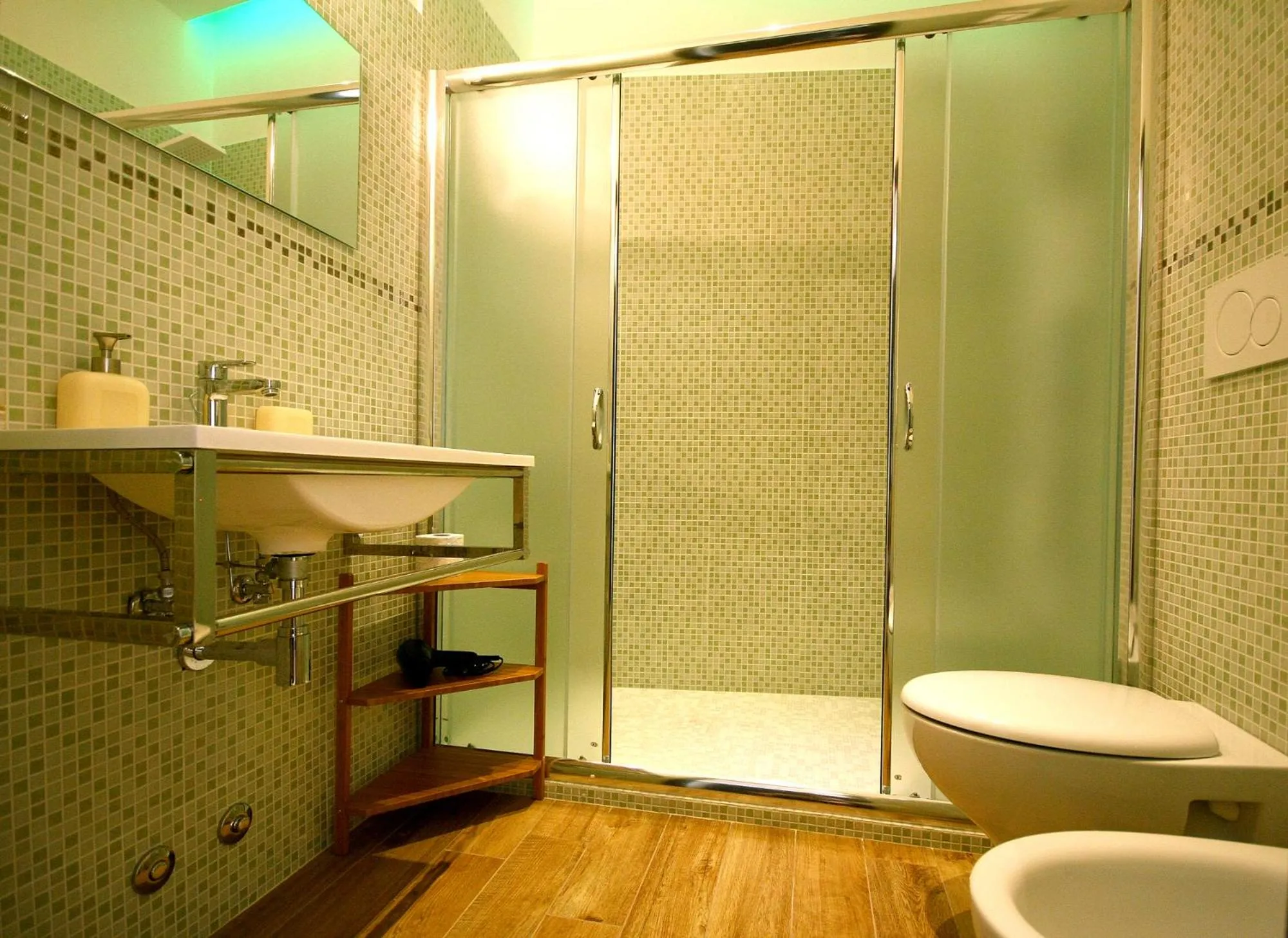 Toilet in Passenger Vatican Relais