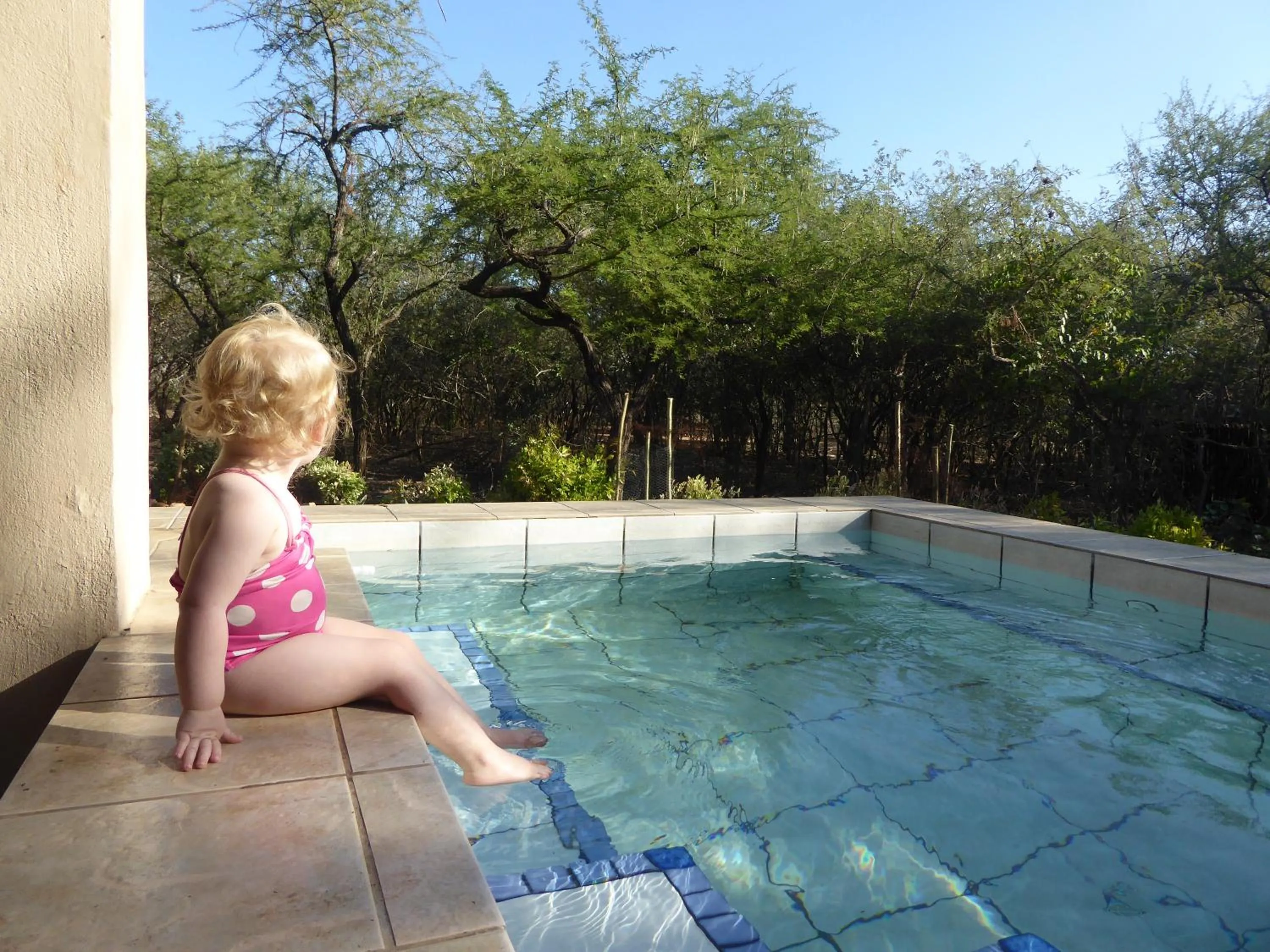 Swimming pool in Kruger Cottage