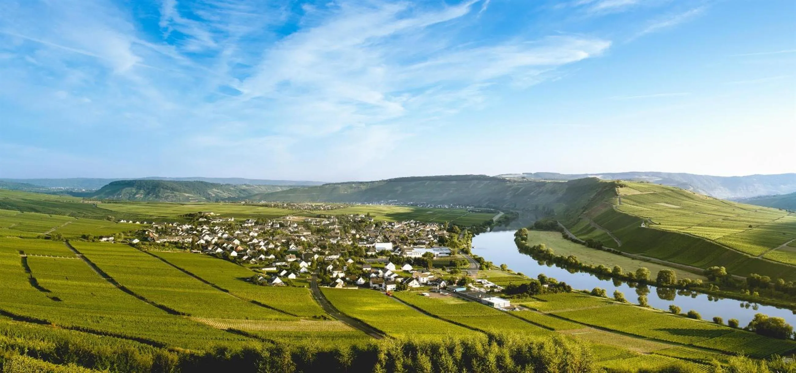 Ferienweingut Ulrike Thul